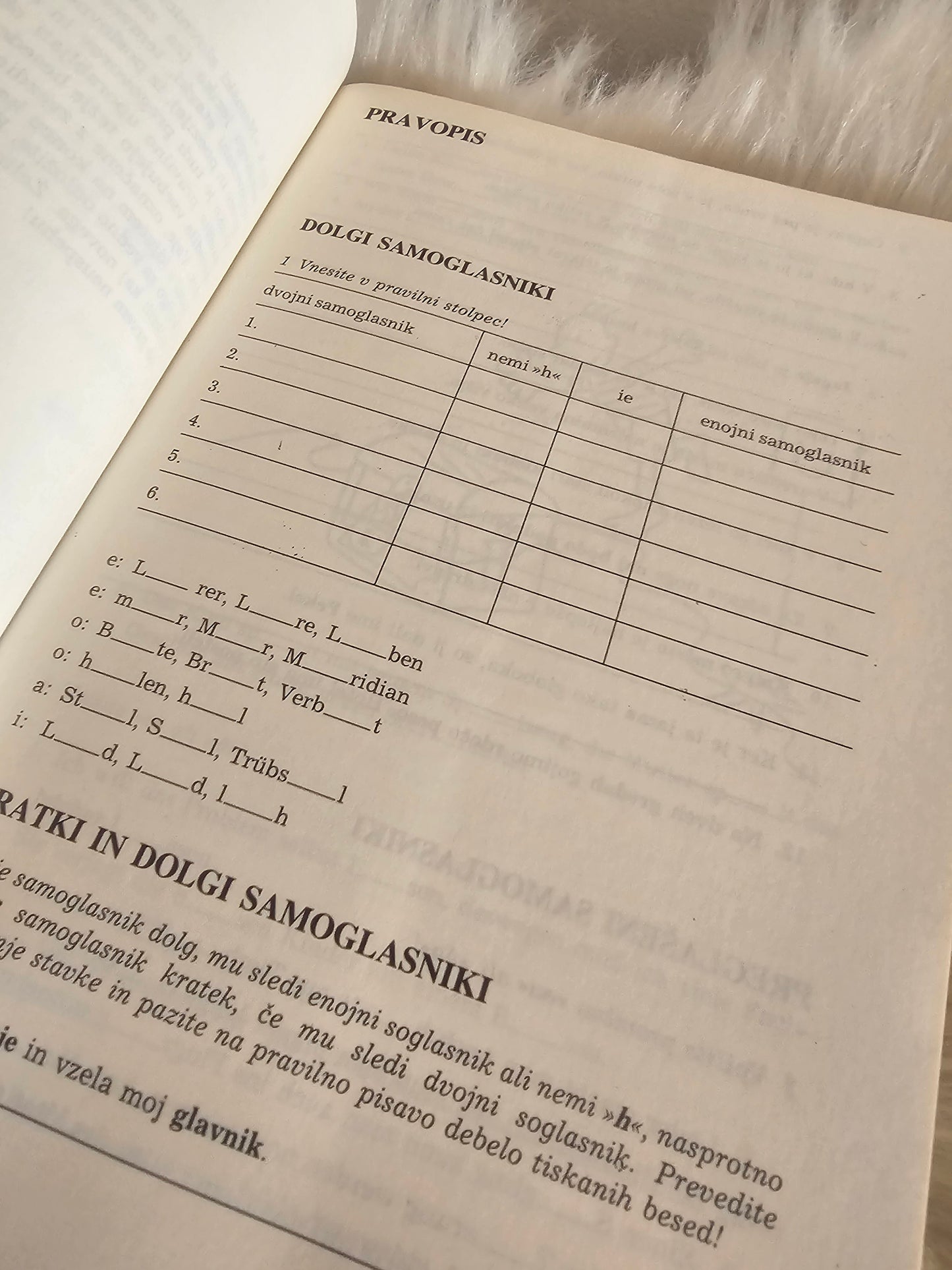 Vaje iz nemščine Nanika Muster Čenčur