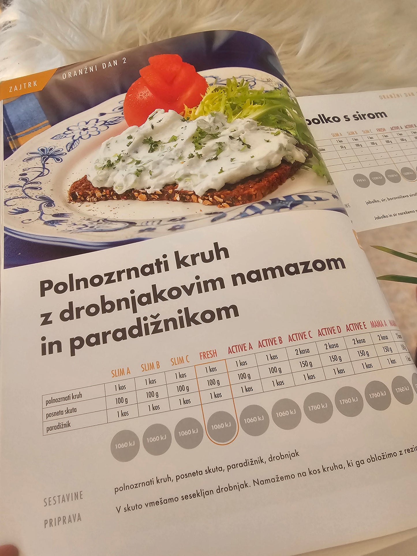 Zdravo hujšanje, vitki in vitalni z metodo Nutri Care  Freh Life Mladinska knjiga