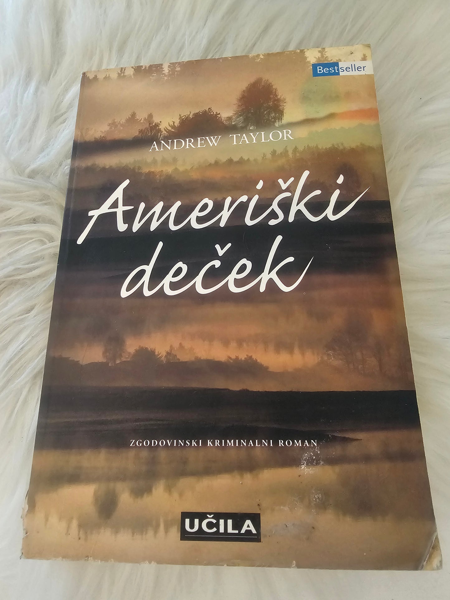 Ameriški deček Andrew Taylor