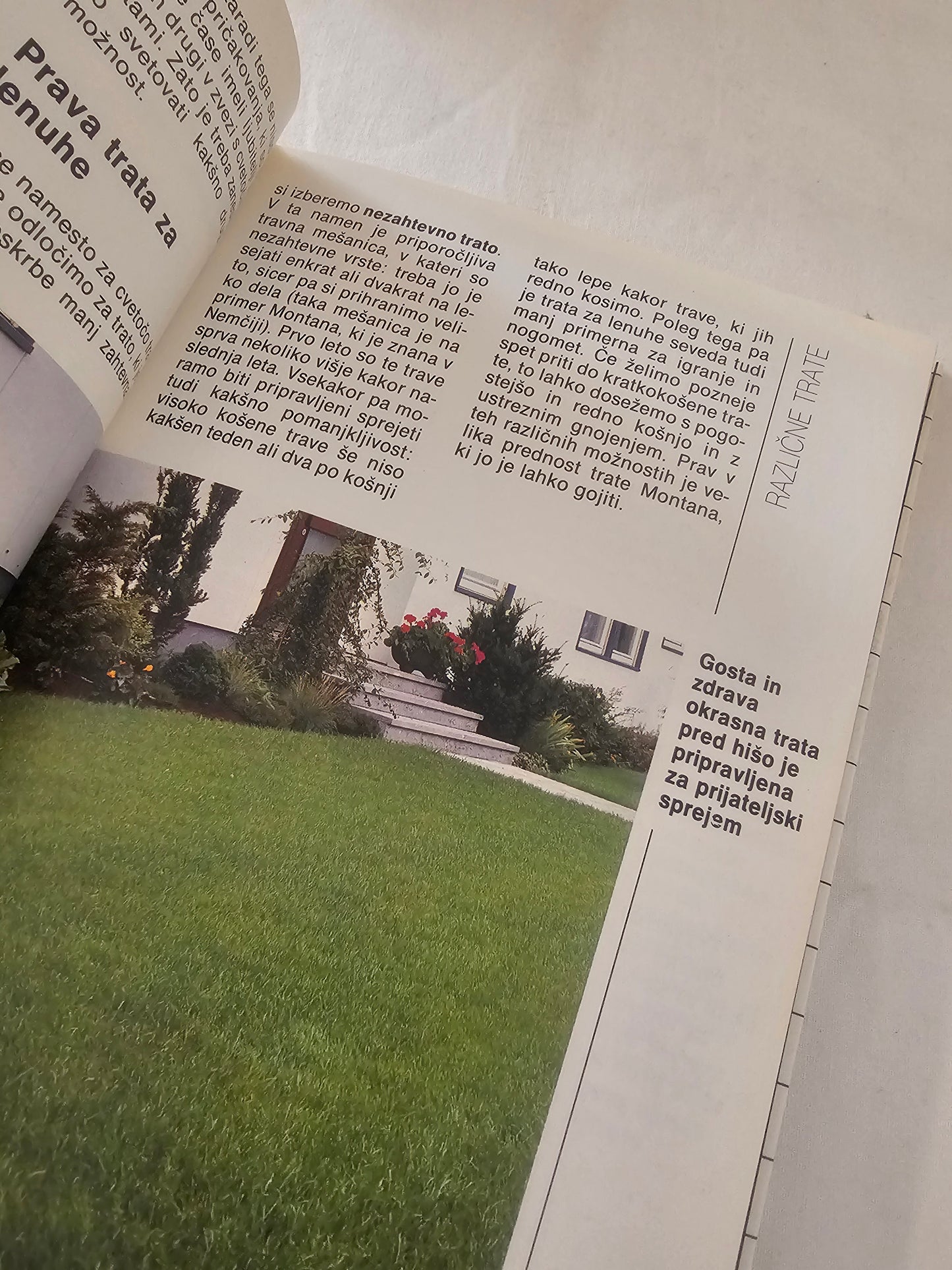 Trate in grmovnice Mladinska knjiga