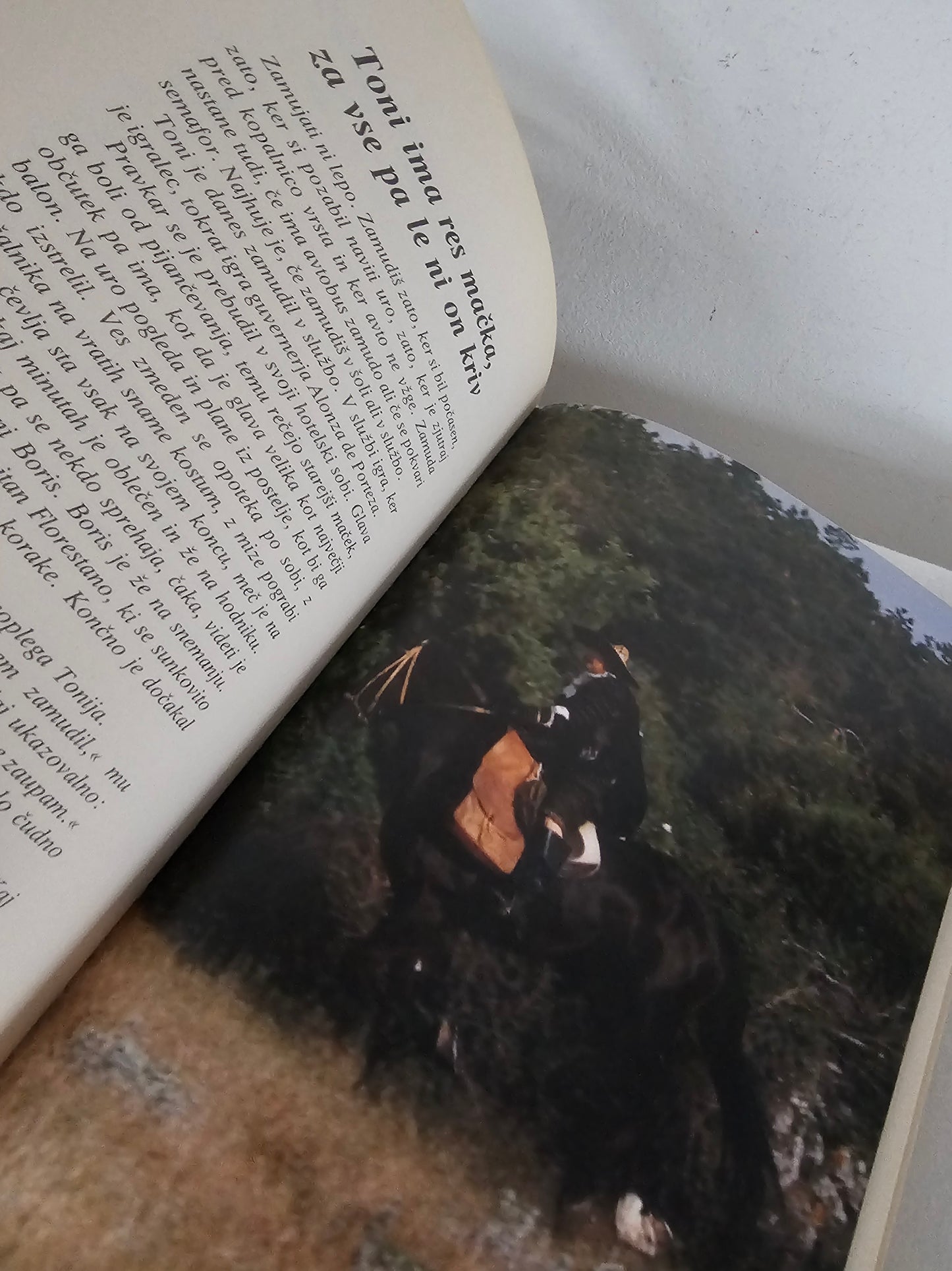 Čisto pravi gusar Marjela Agrež