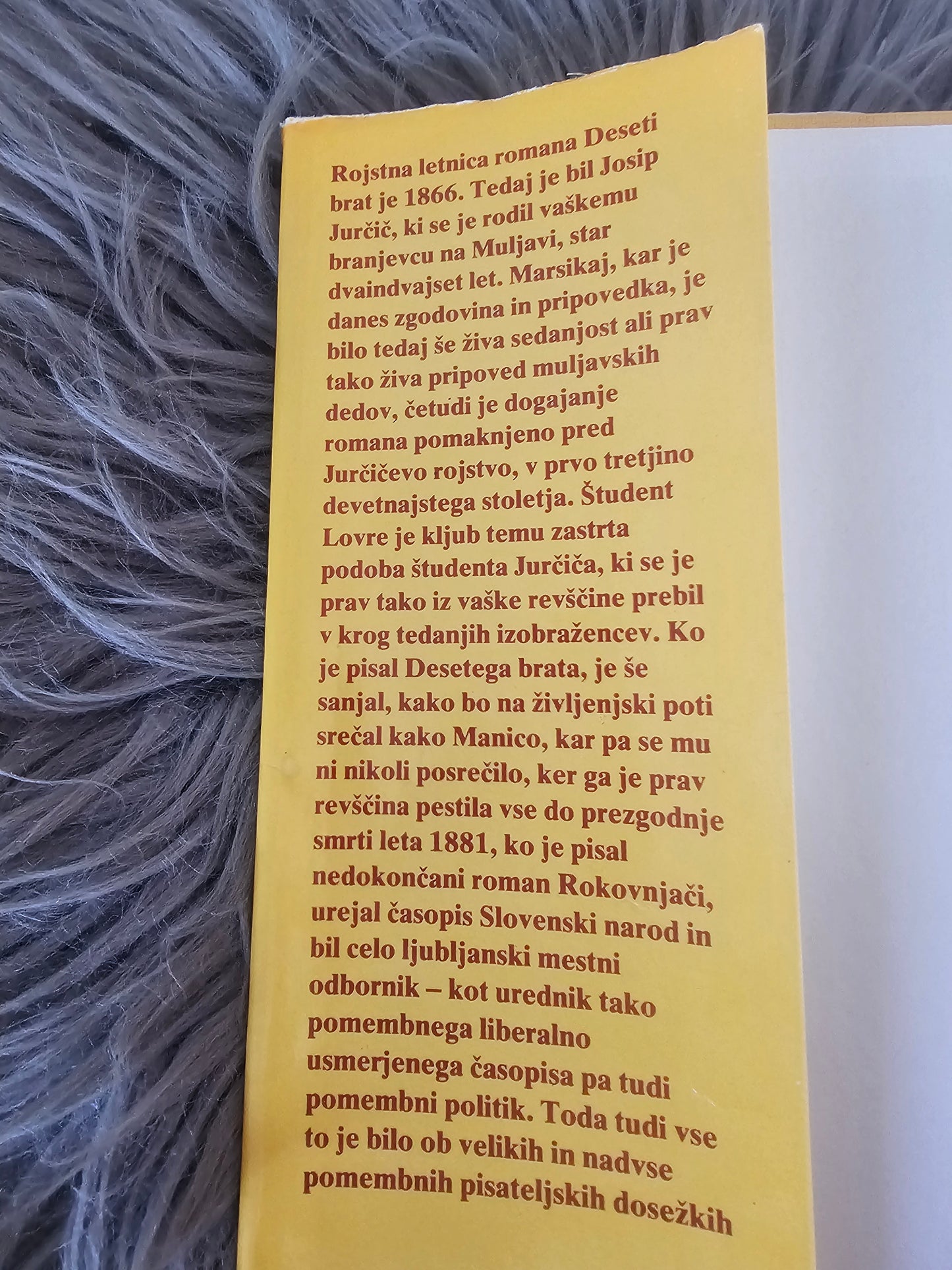 Deseti brat Josip Jurčič