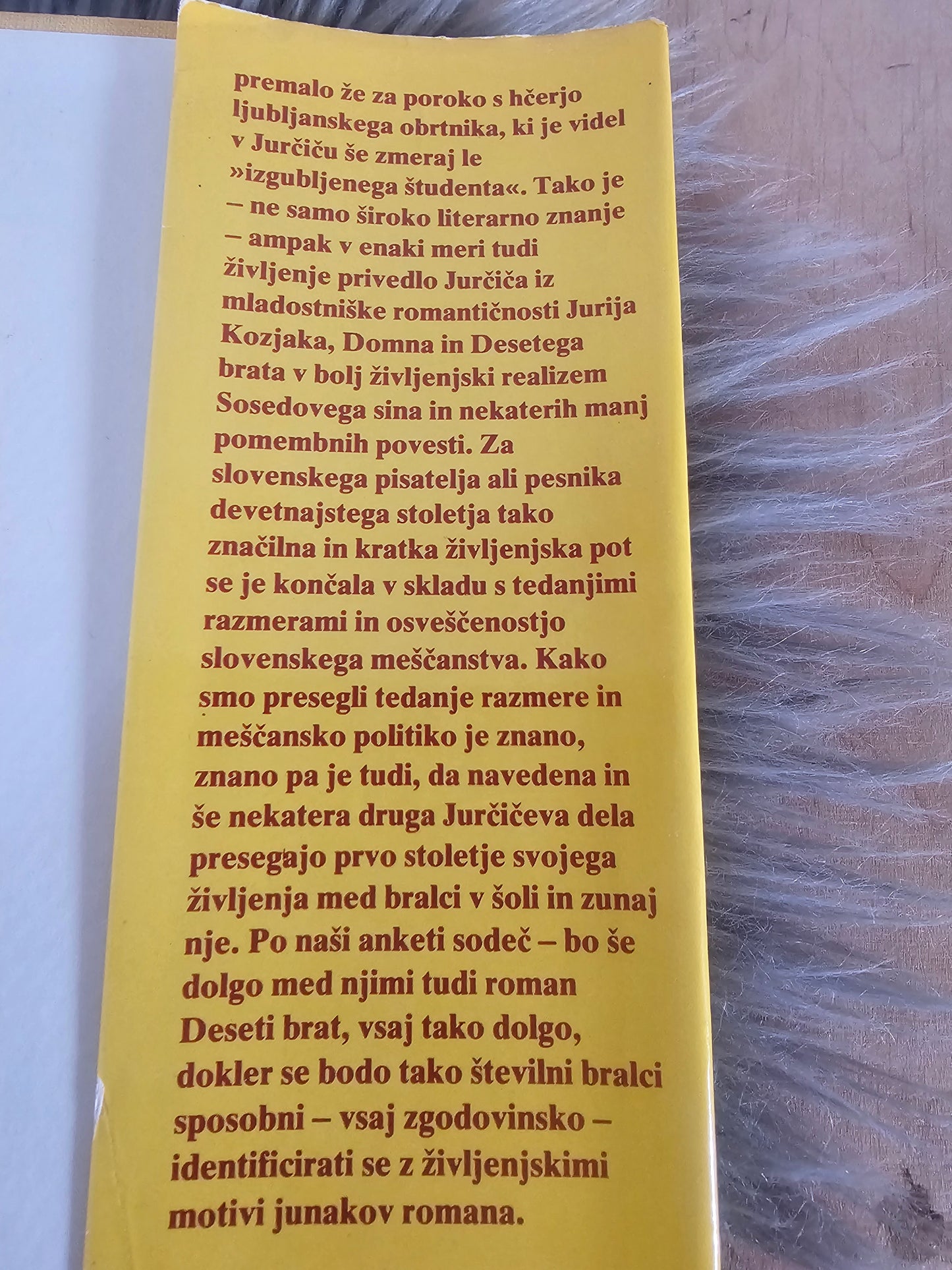 Deseti brat Josip Jurčič