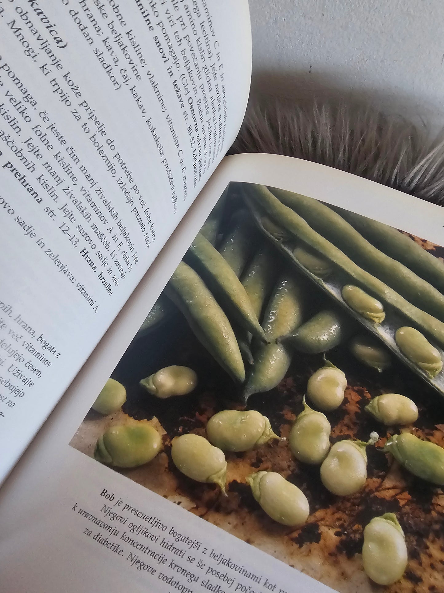 Zdrava prehrana za vsakdanje bolezni dr. Penny Stanway