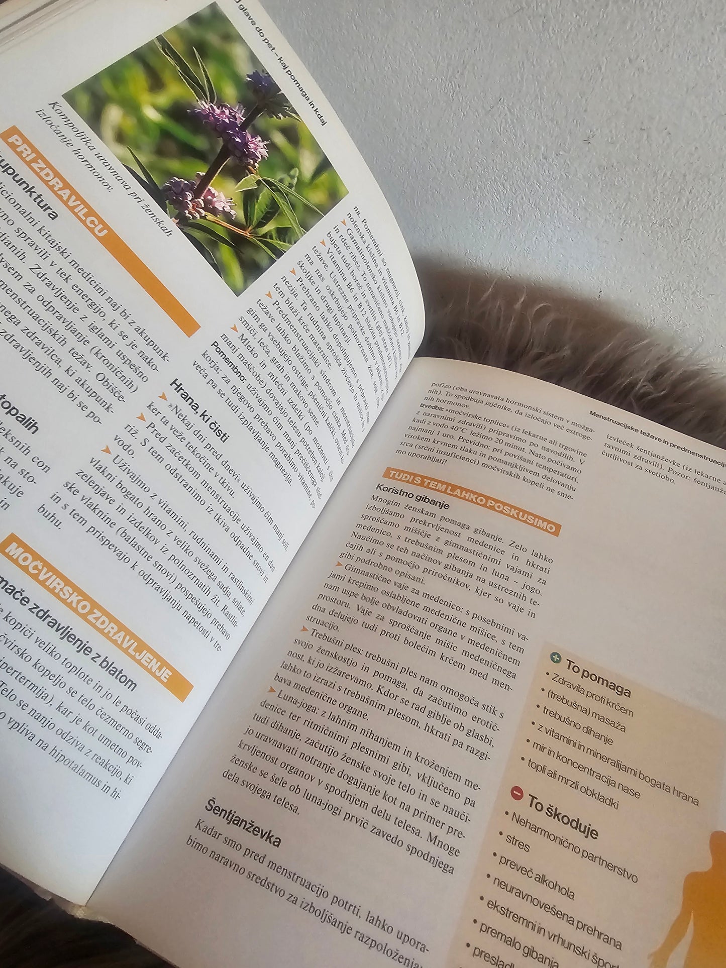 Domači zdravnik Heike Kovacs Gunhild Kilian Kornell