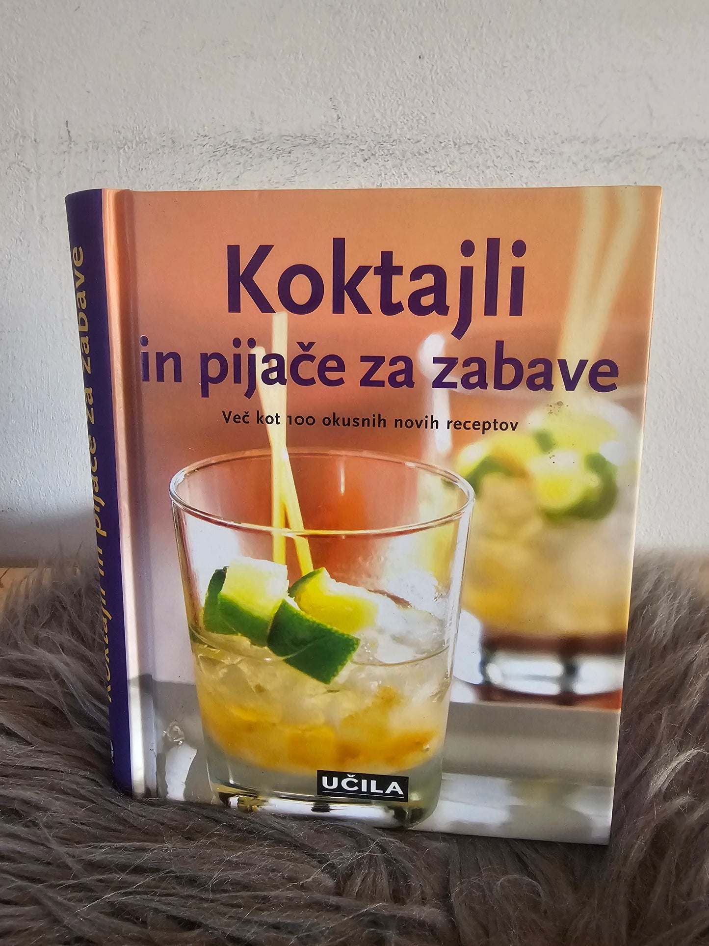Koktajli in pijače za zabave Učila