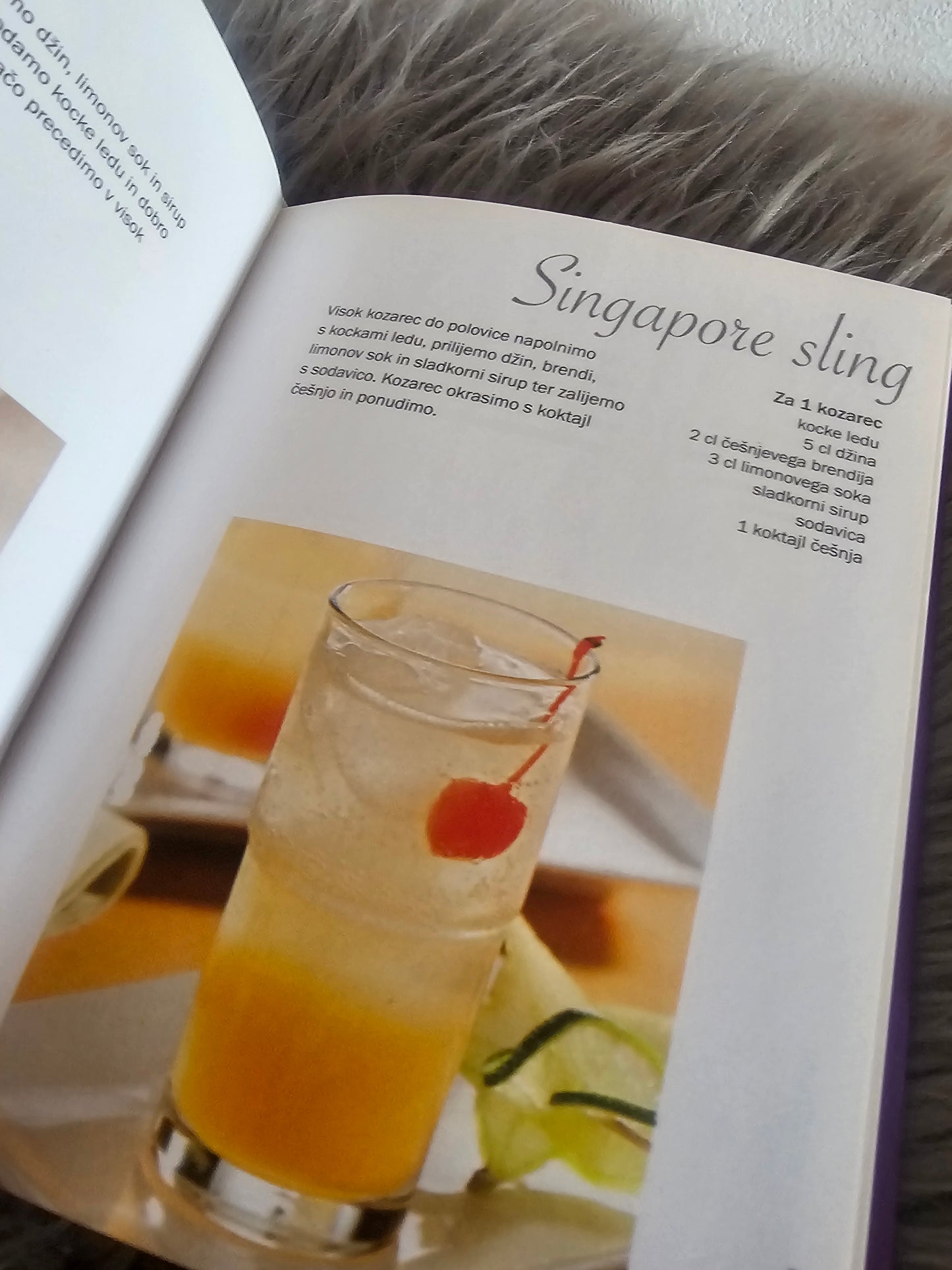 Koktajli in pijače za zabave Učila