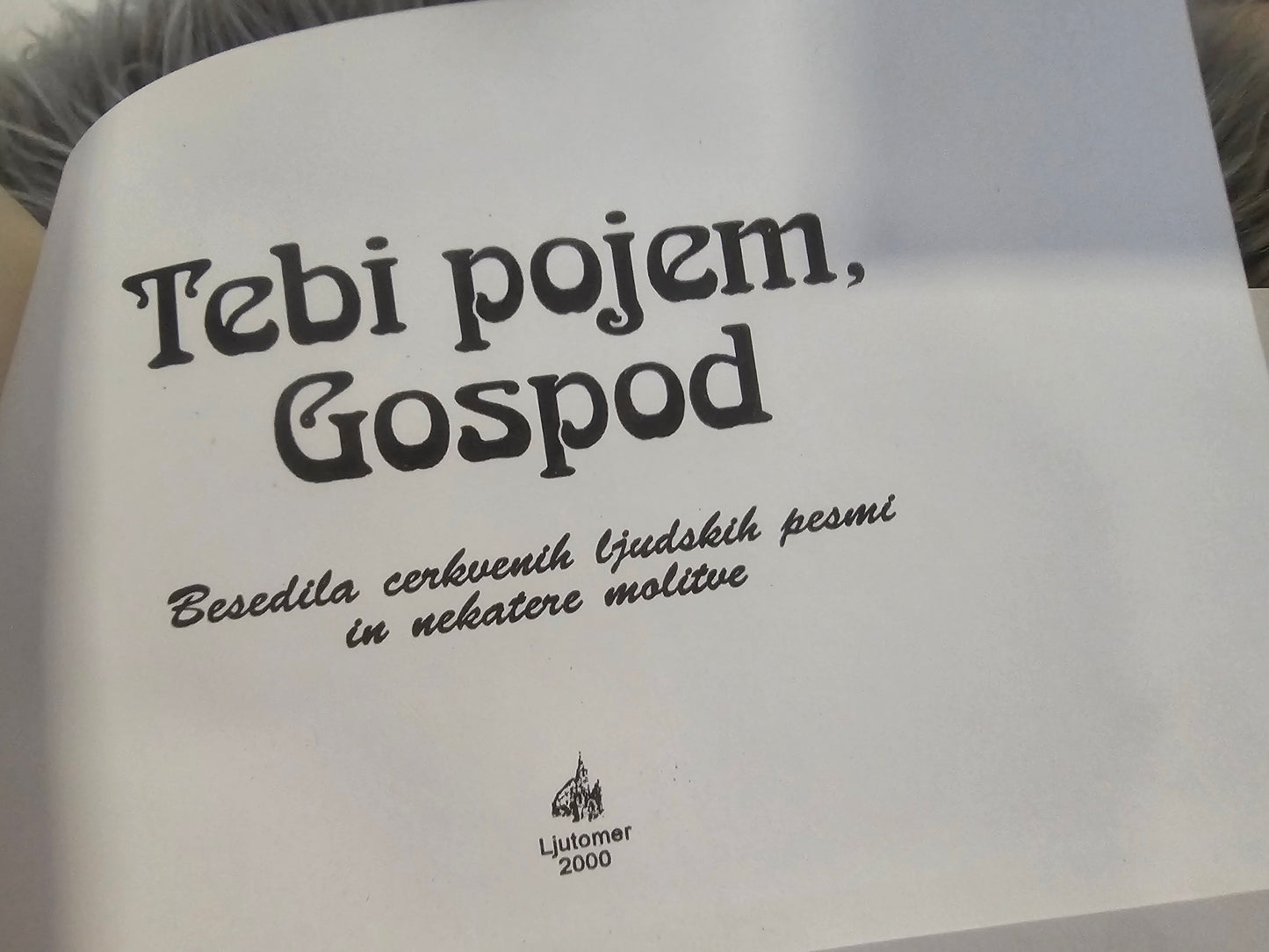 Tebi pojem, Gospod več avtorjev