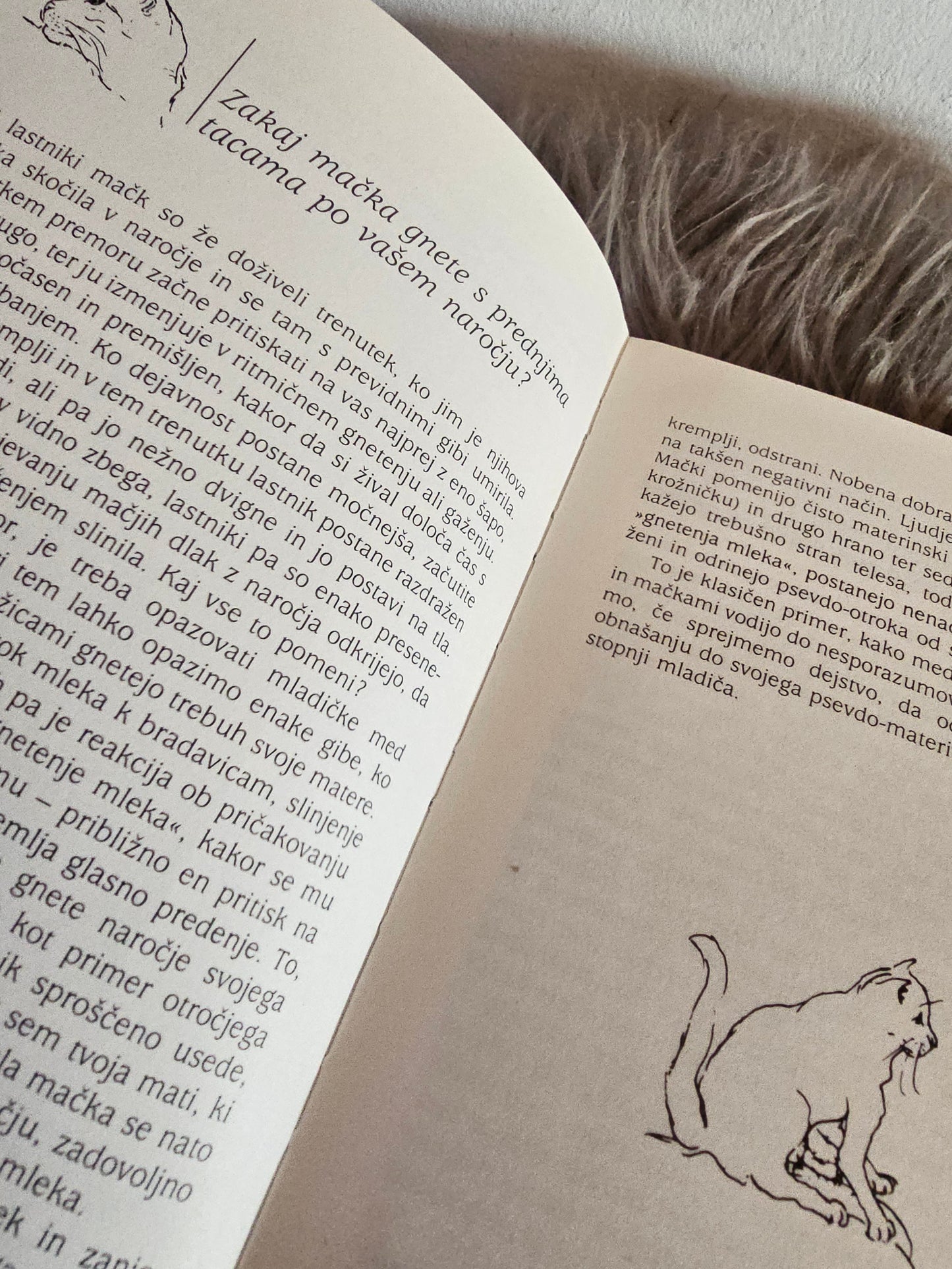 Zakaj mačka prede Desmond Morris