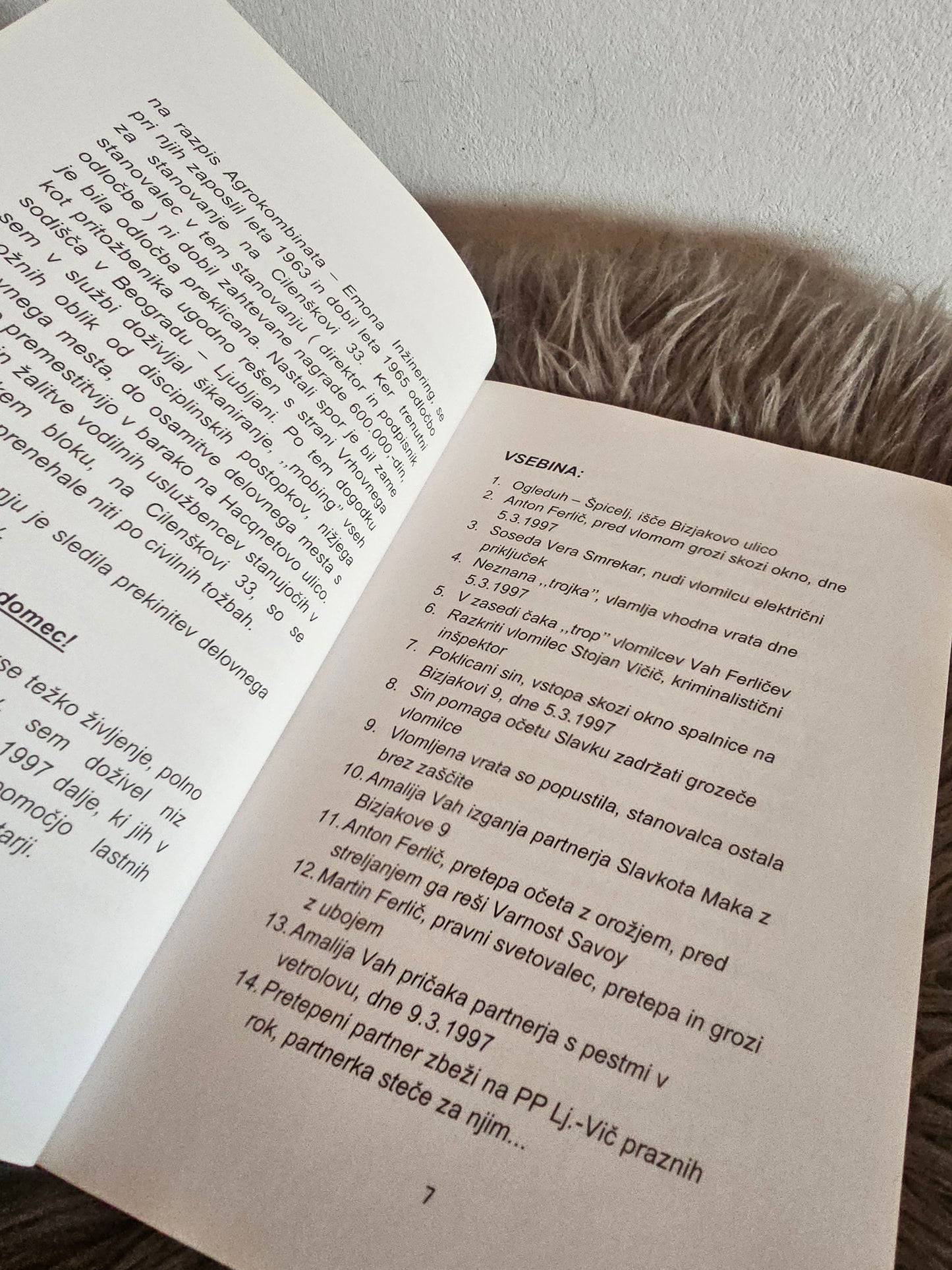 Multimedija v izobraževanju Marjan Krašna