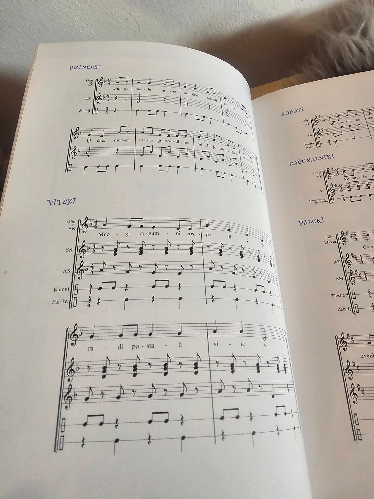 Bakreni prstan Slavica Remškar Katja Virant Iršič