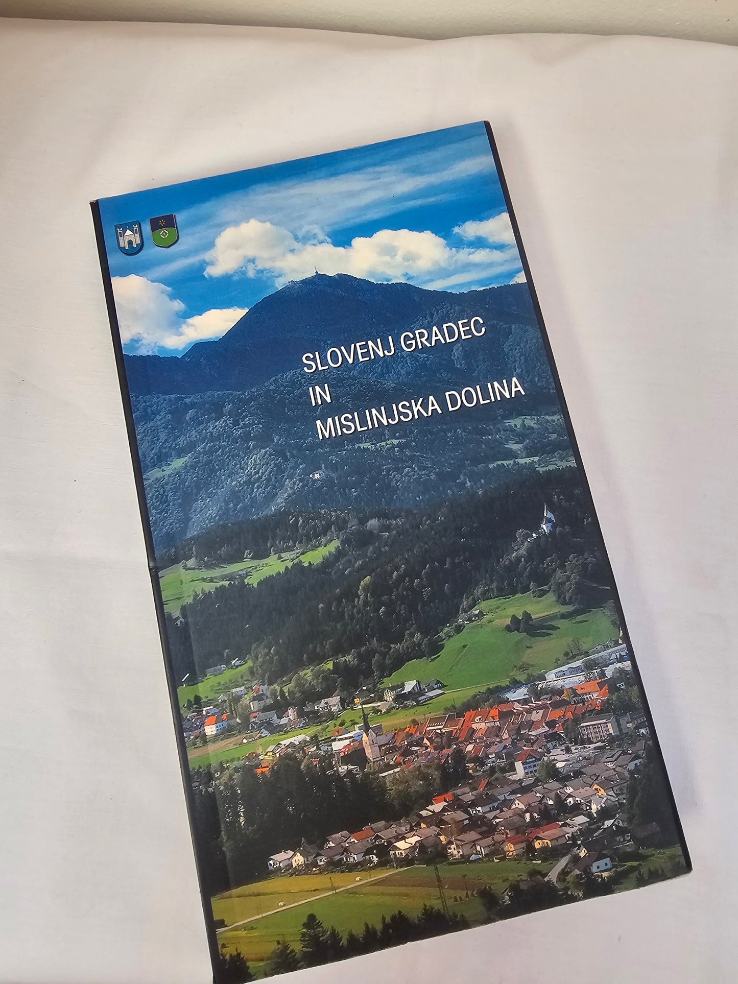 Slovenj Gradec in Mislinjska dolina več avtorjev