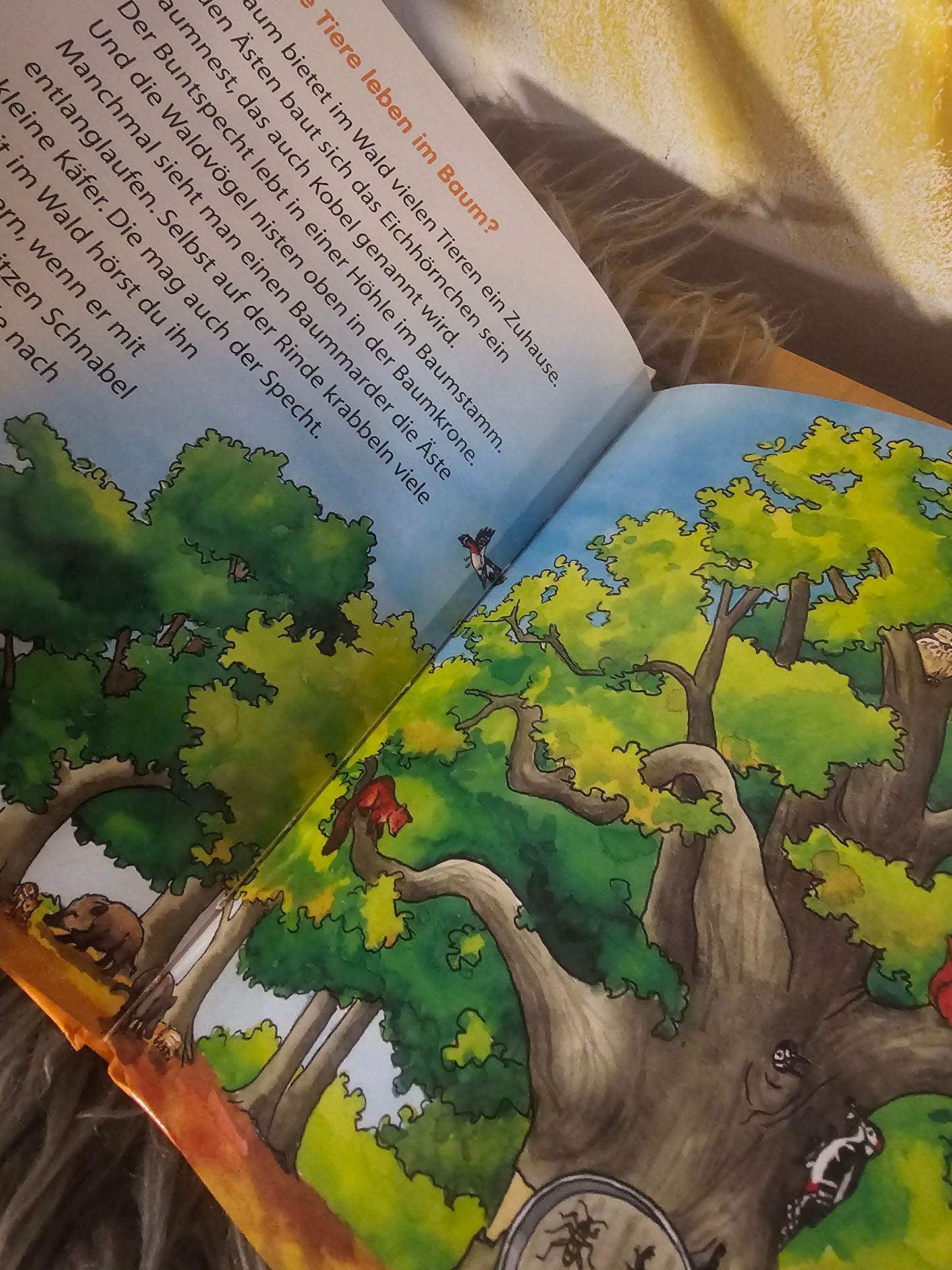 Waldtiere več avtorjev