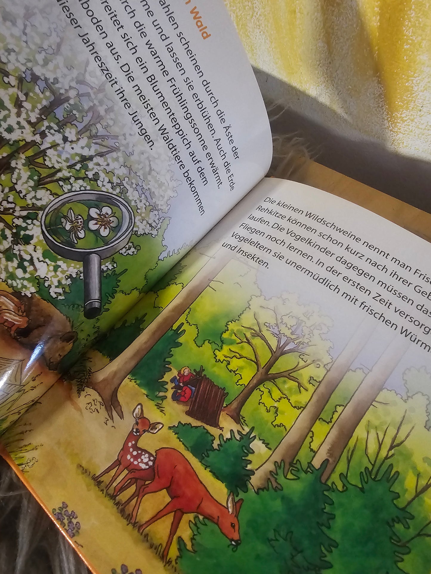 Waldtiere več avtorjev