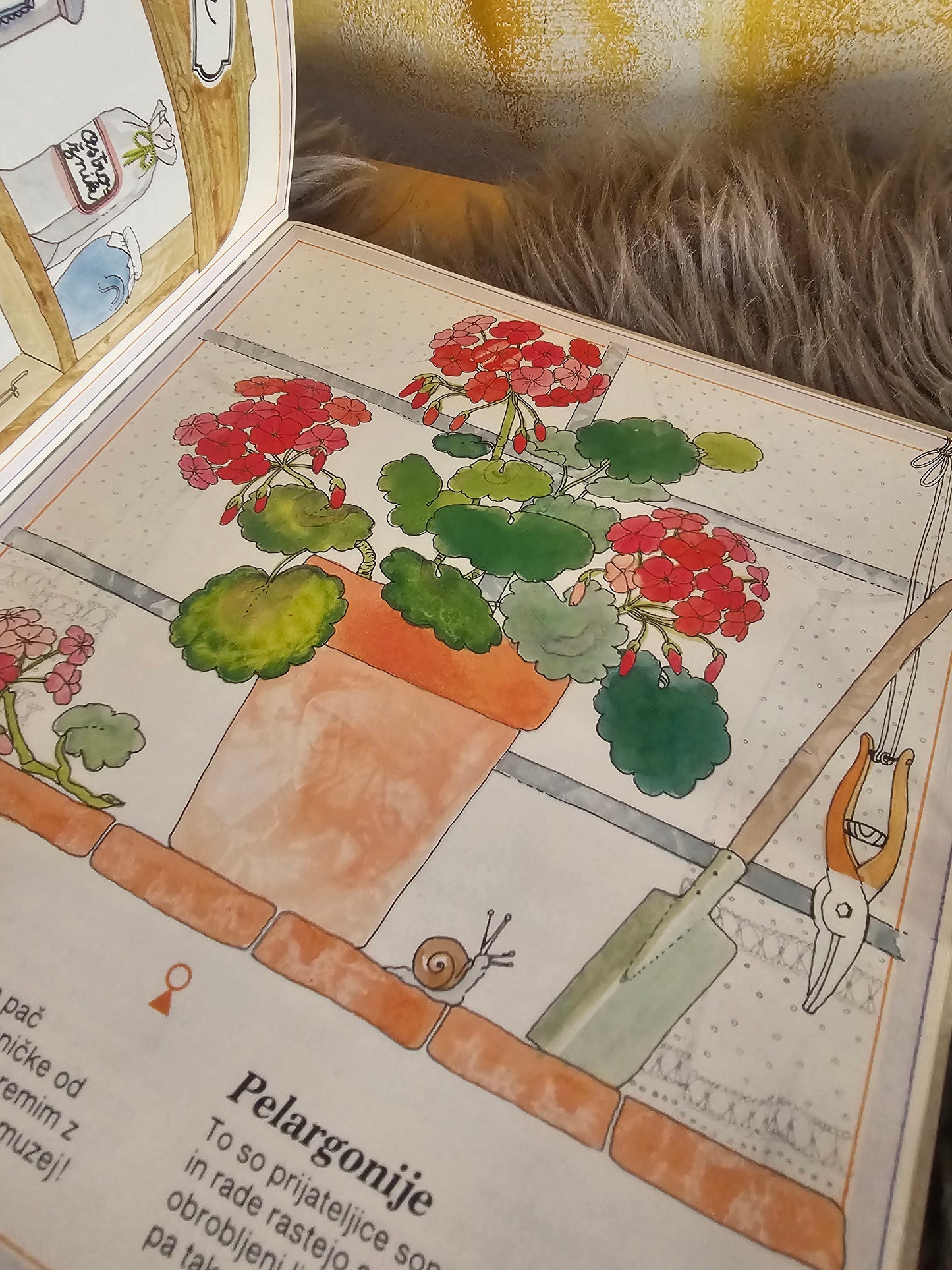 Cvetje Marthe Seguin Fontes