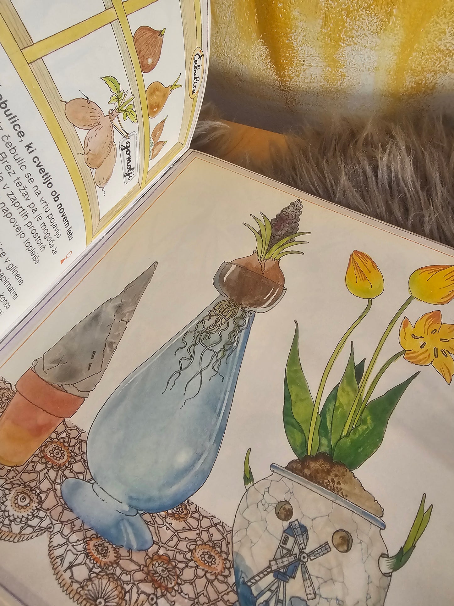 Cvetje Marthe Seguin Fontes