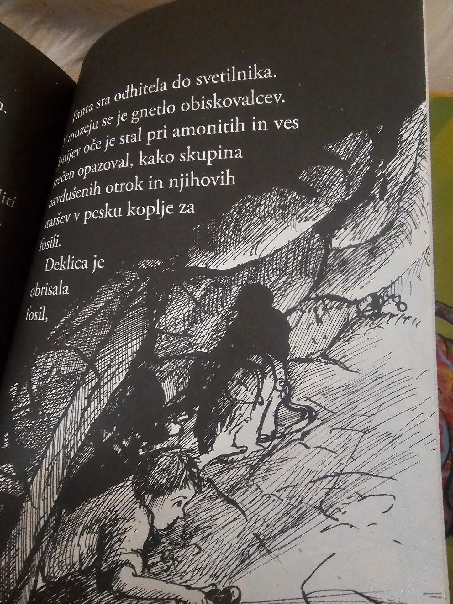 Zaliv dinozavrov Reševanje oklepljenega kuščarja Rex Stone