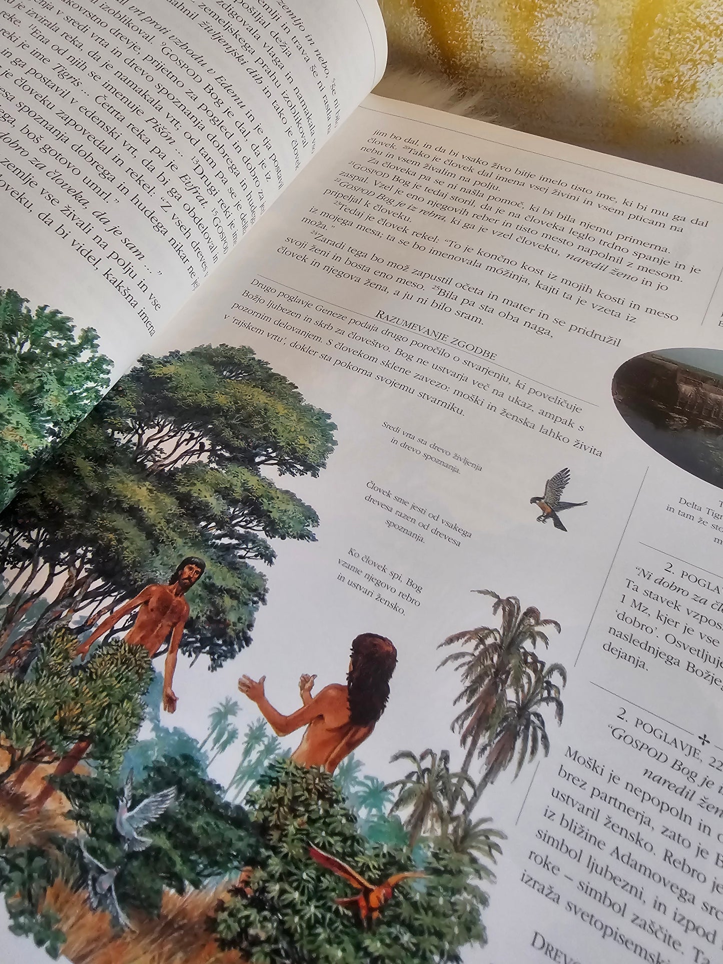 Ilustrirano družinsko sveto pismo Stillmark