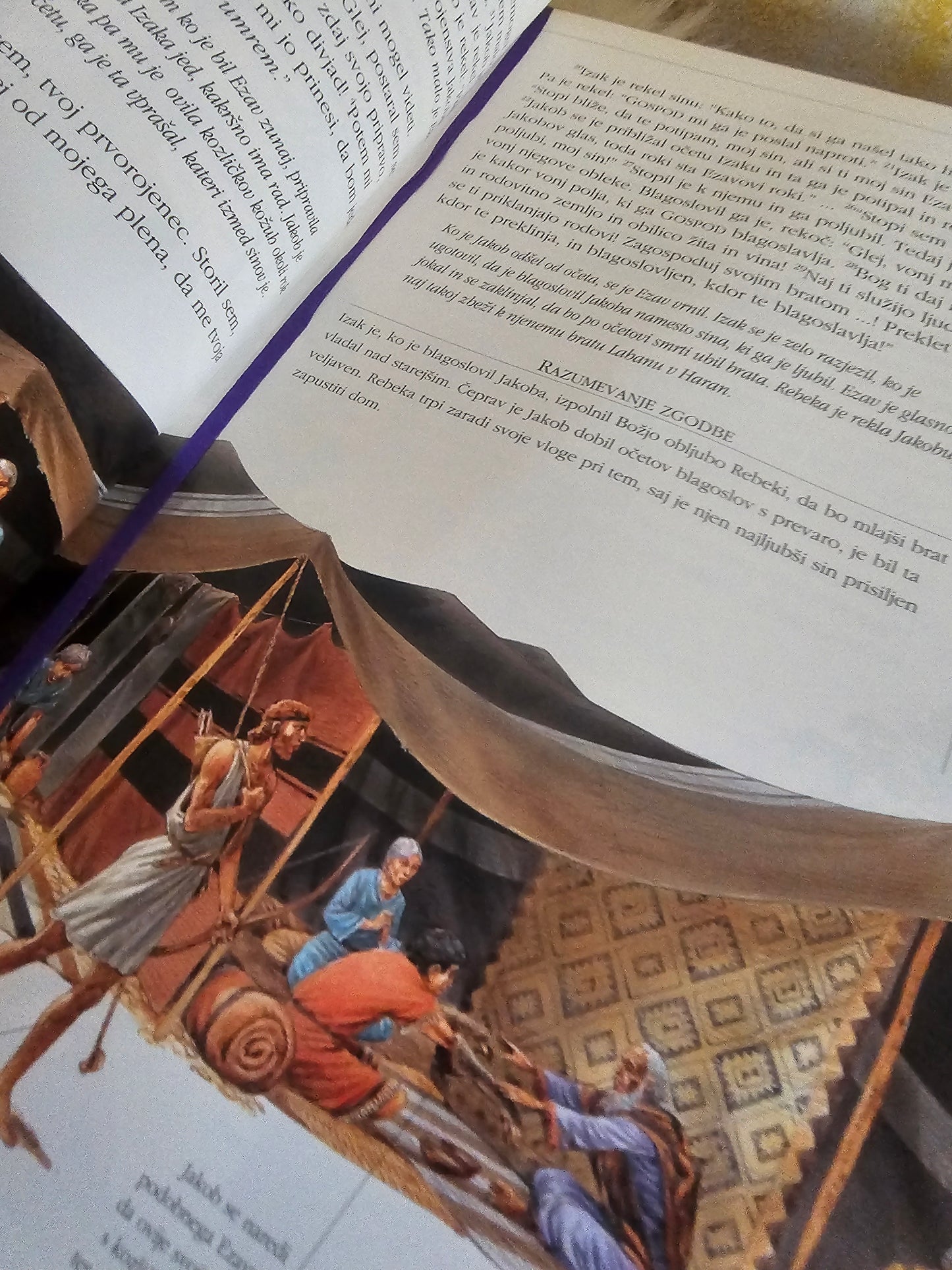 Ilustrirano družinsko sveto pismo Stillmark