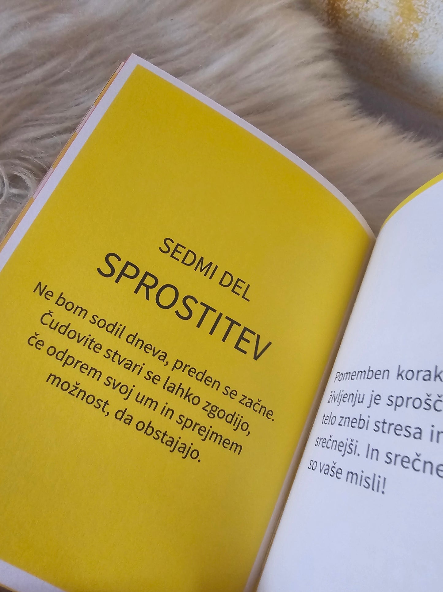 Verjemi vase Jasmin Kirkbride