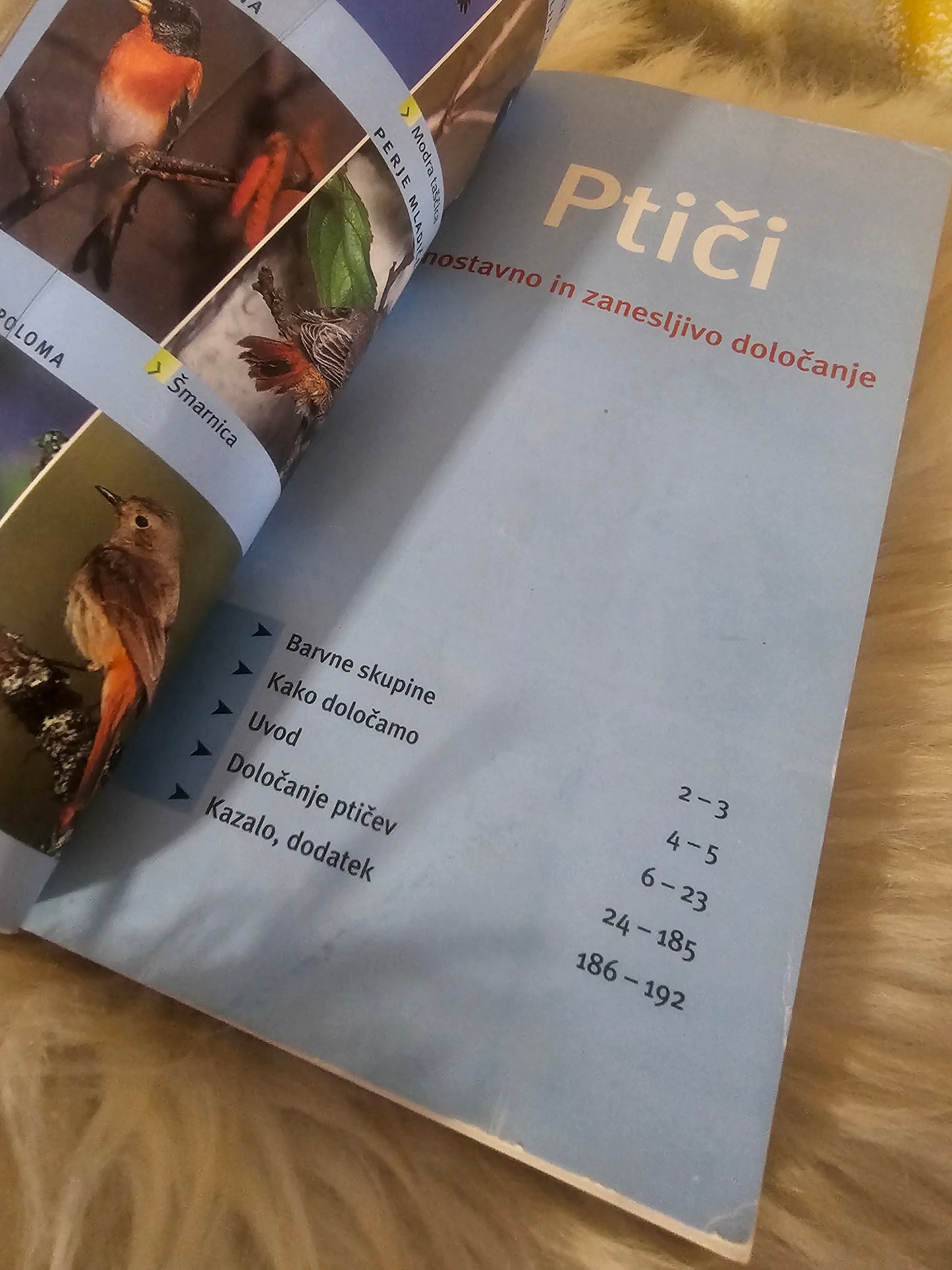 Ptiči Vodnik po naravi