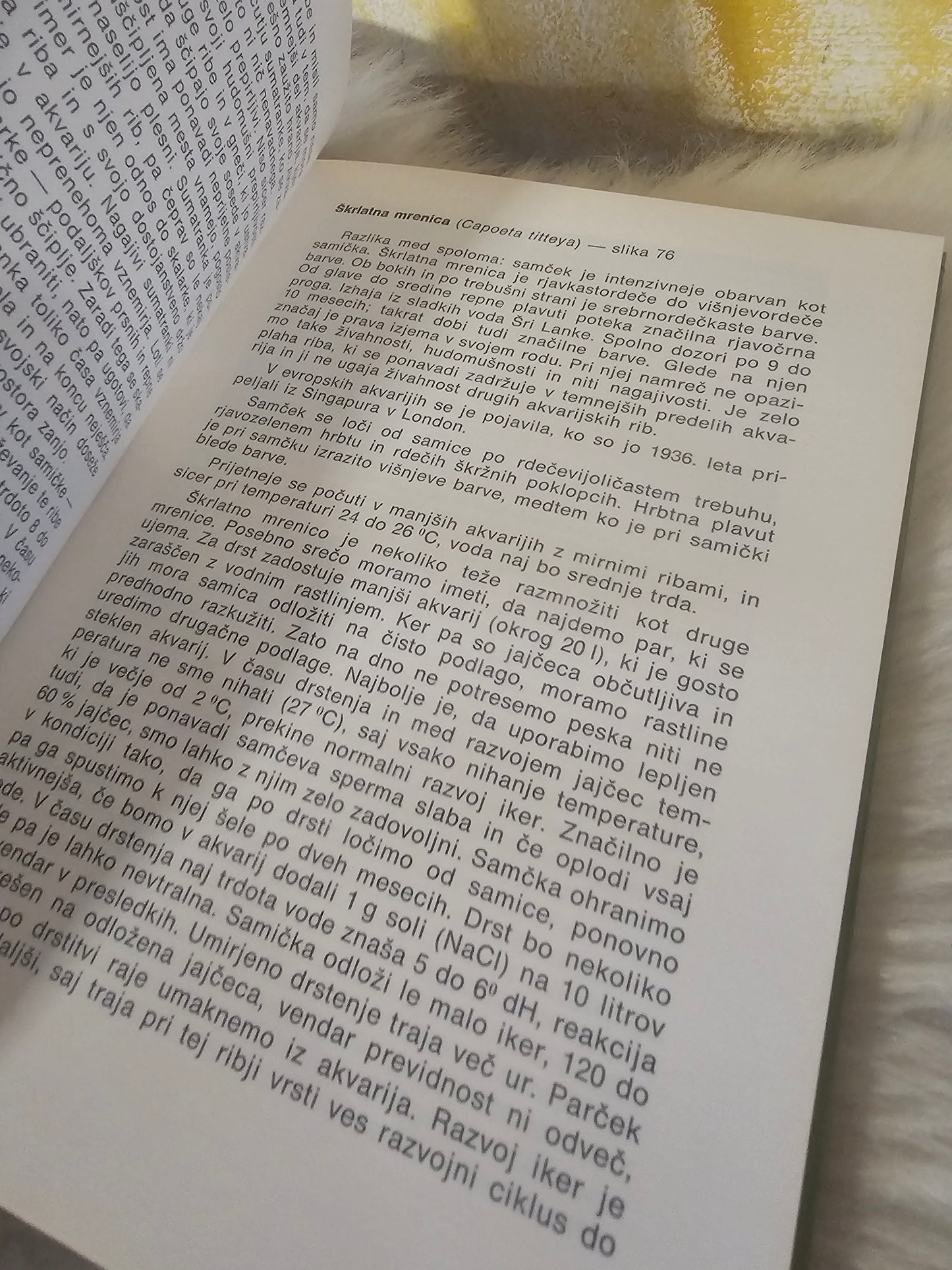 Spoznajmo akvarijske ribe Rihard Jerič