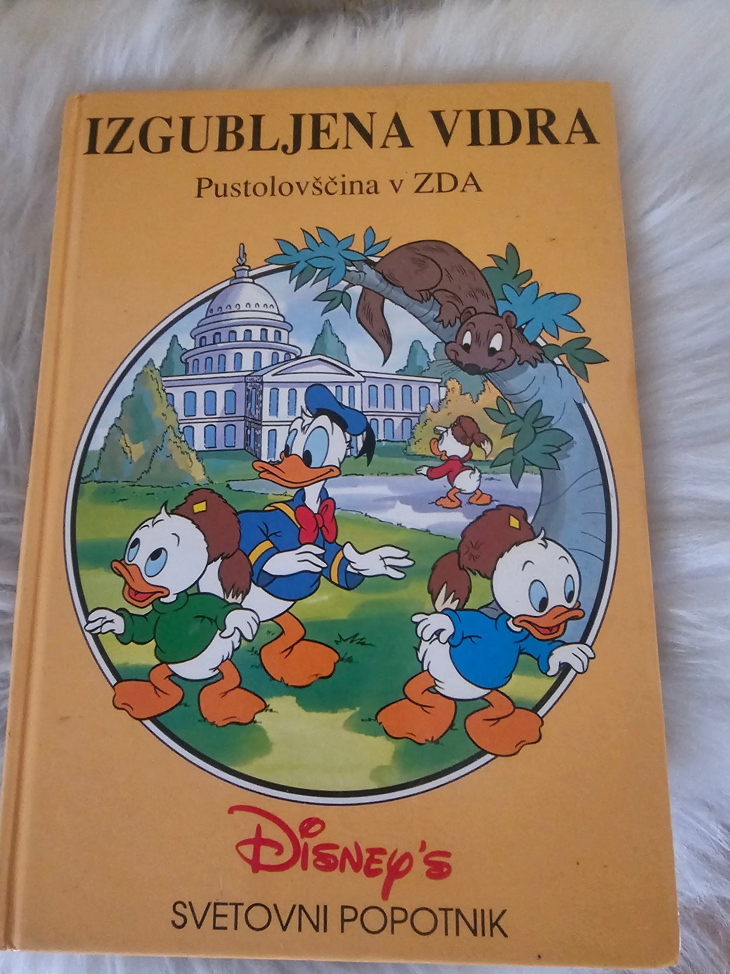 Izgubljena vidra Pustolovščina v Zda Disney