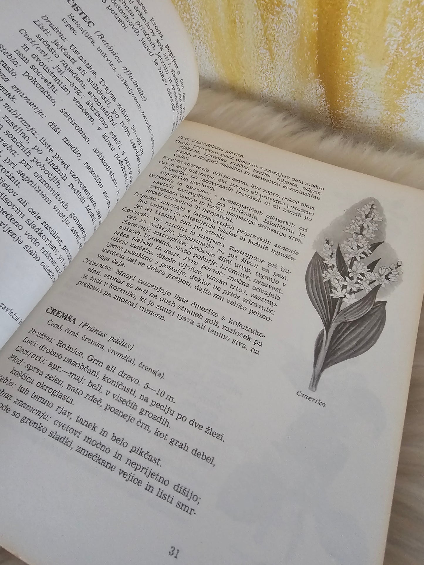 Zdravje iz rastline dr. Franjo Smerdu