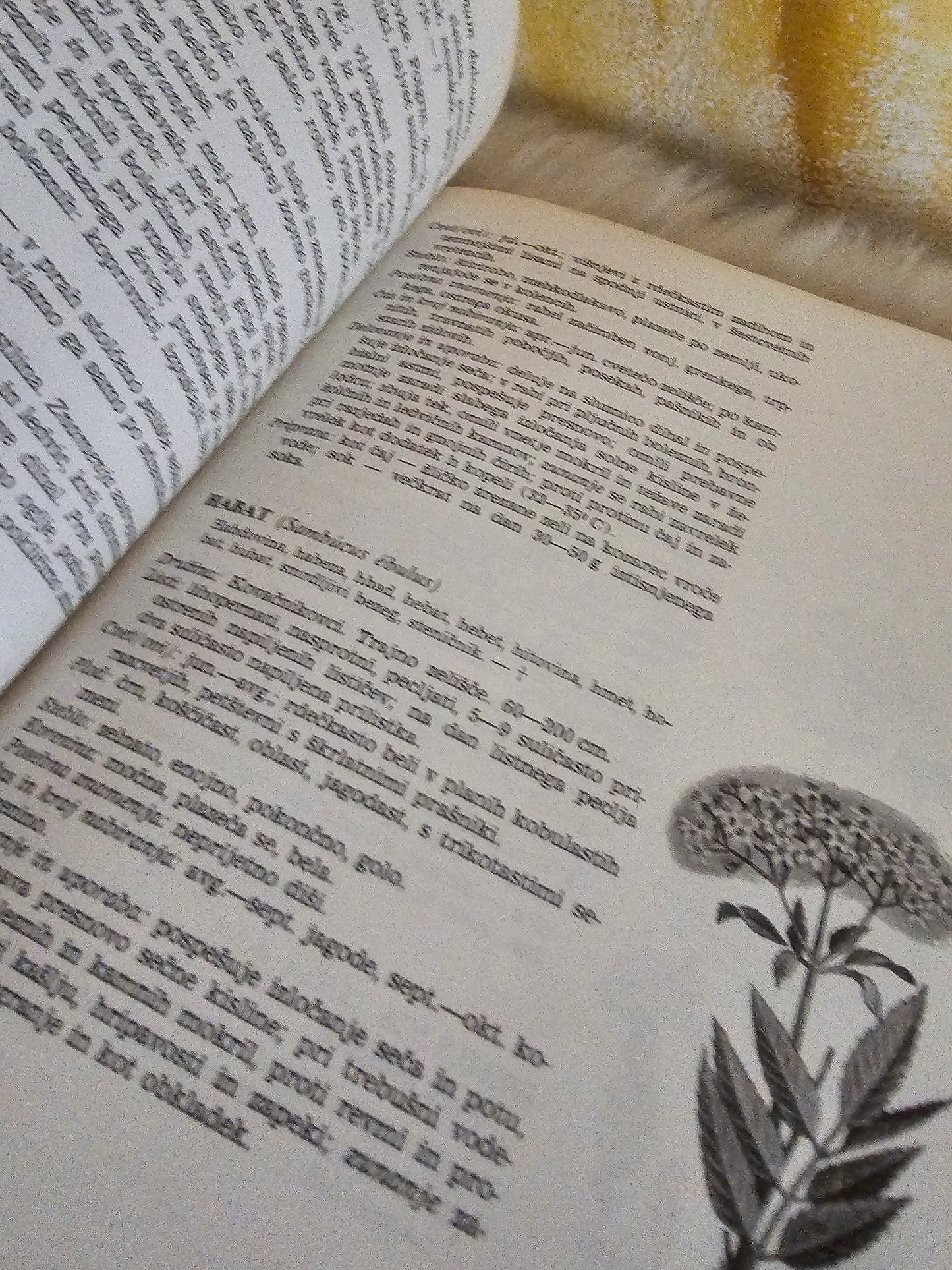 Zdravje iz rastline dr. Franjo Smerdu