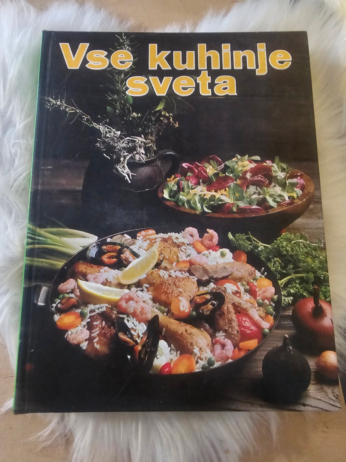 Vse kuhinje sveta  Cankarjeva založba