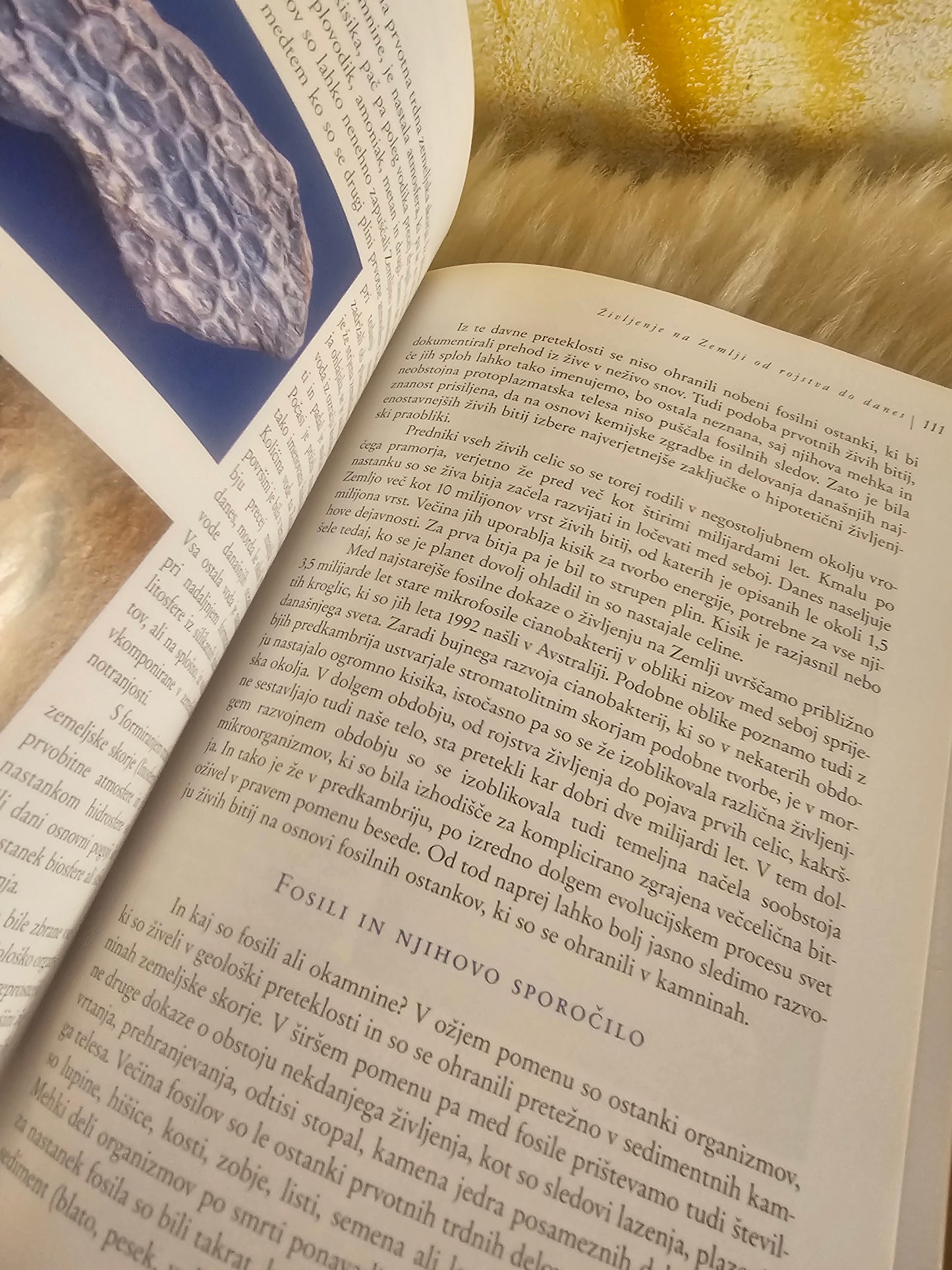 Stoletna pratika enaindvajsetega stoletja   Prešernova družba