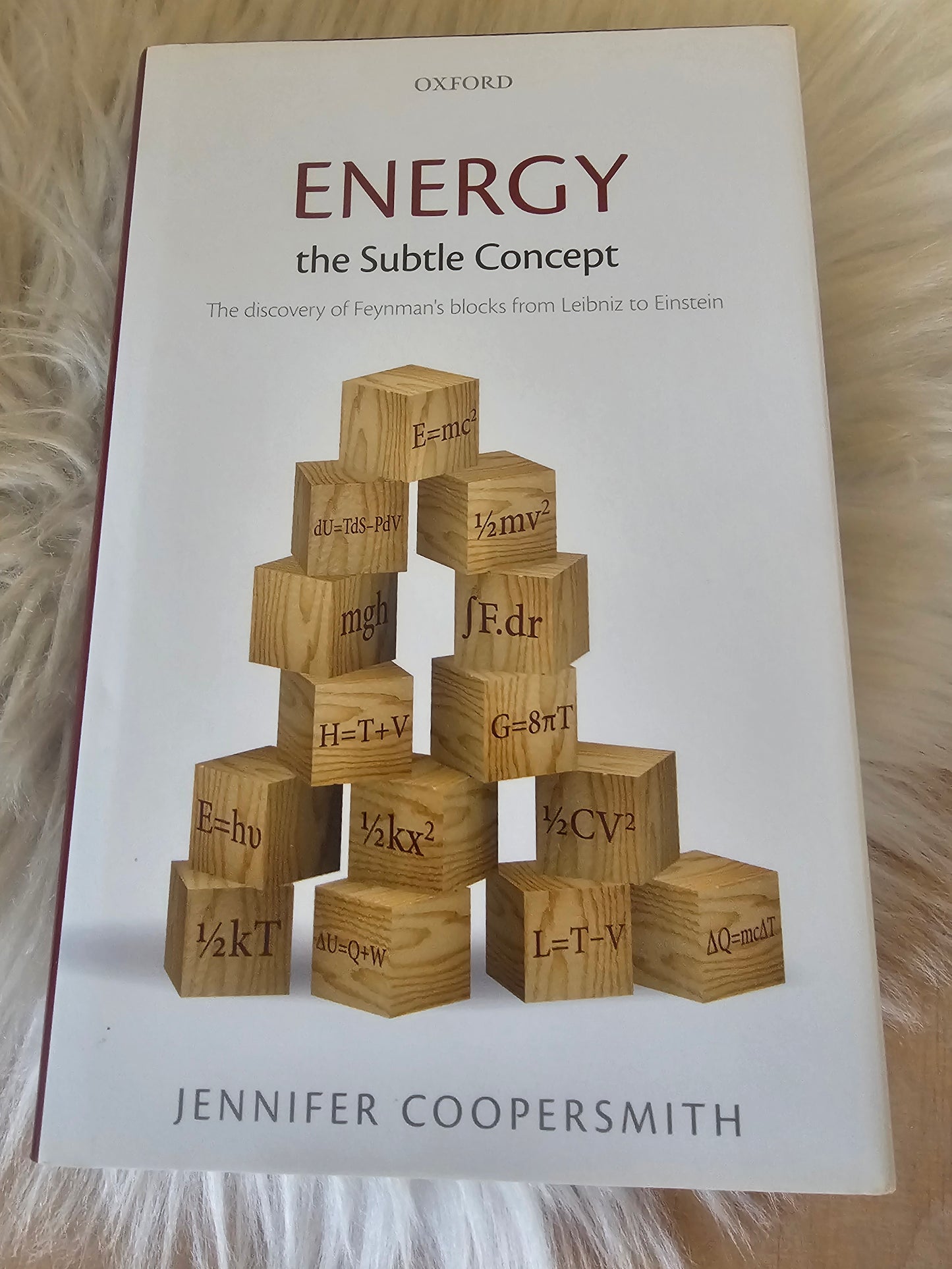 Energy the Subtle Concept Jennifer Coopersmith