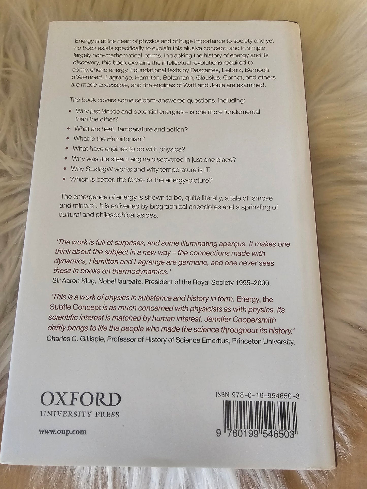 Energy the Subtle Concept Jennifer Coopersmith