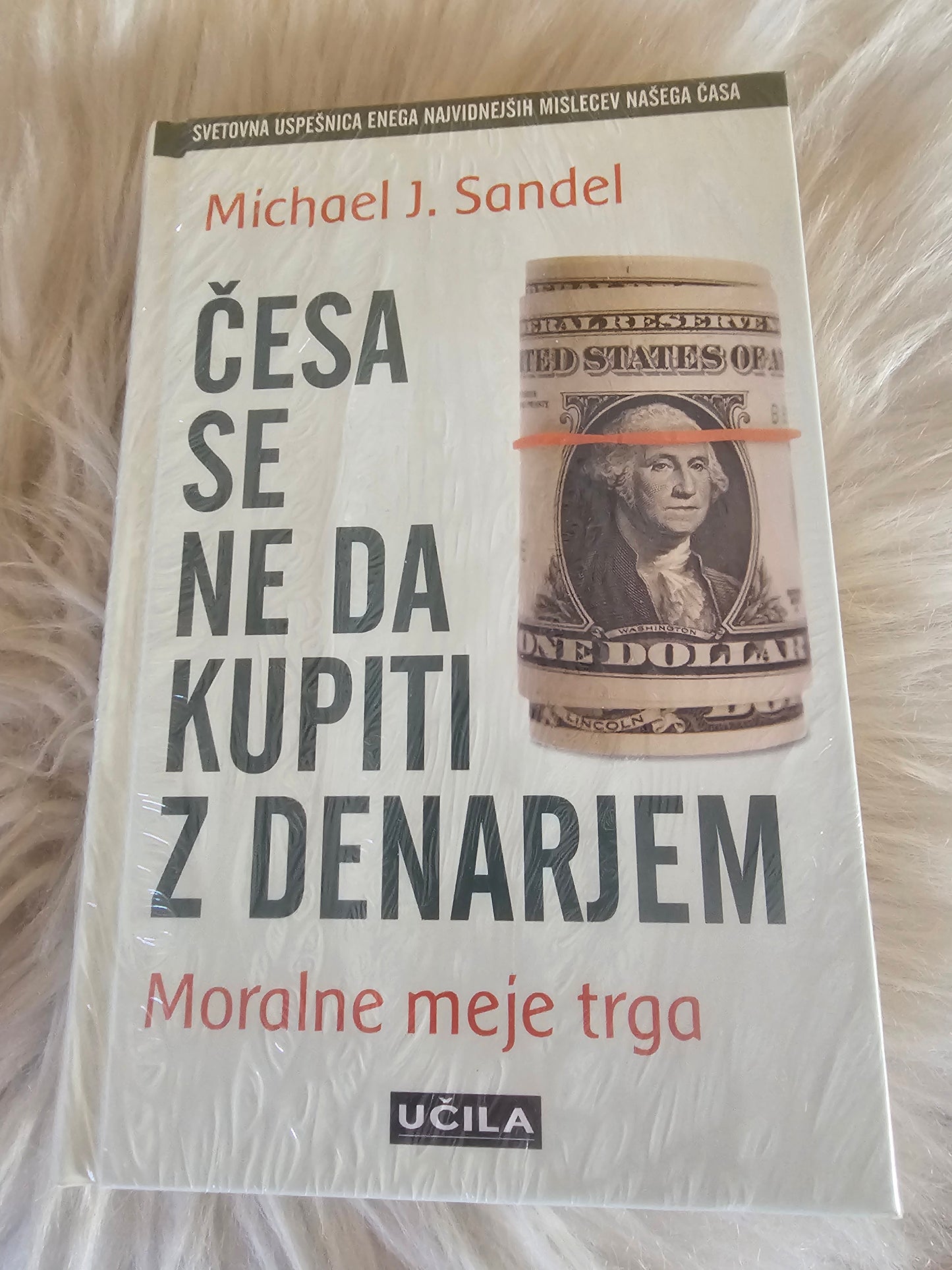 Česa se ne da kupiti z denarjem Michael J. Sandel