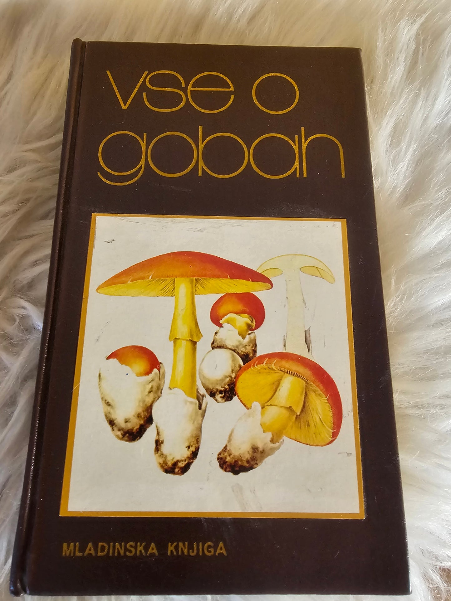 Vse o gobah Mladinska knjiga