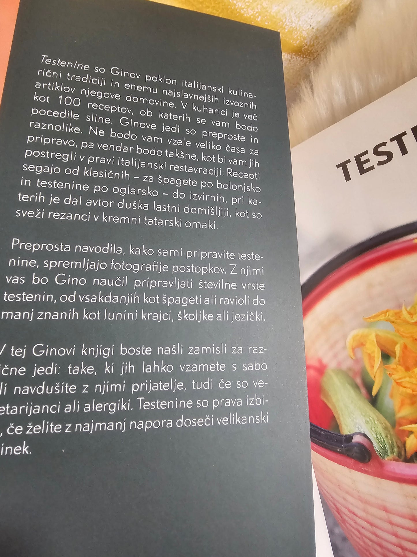 Testenine Gino Dacampo