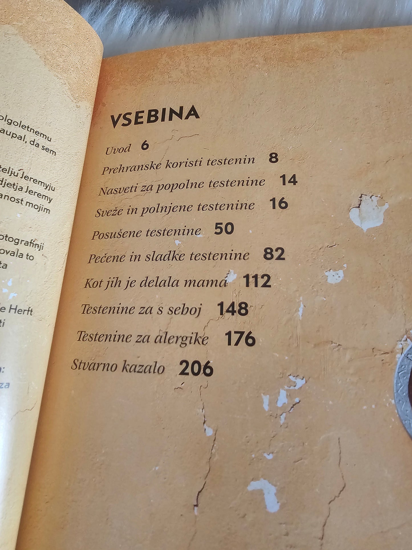 Testenine Gino Dacampo