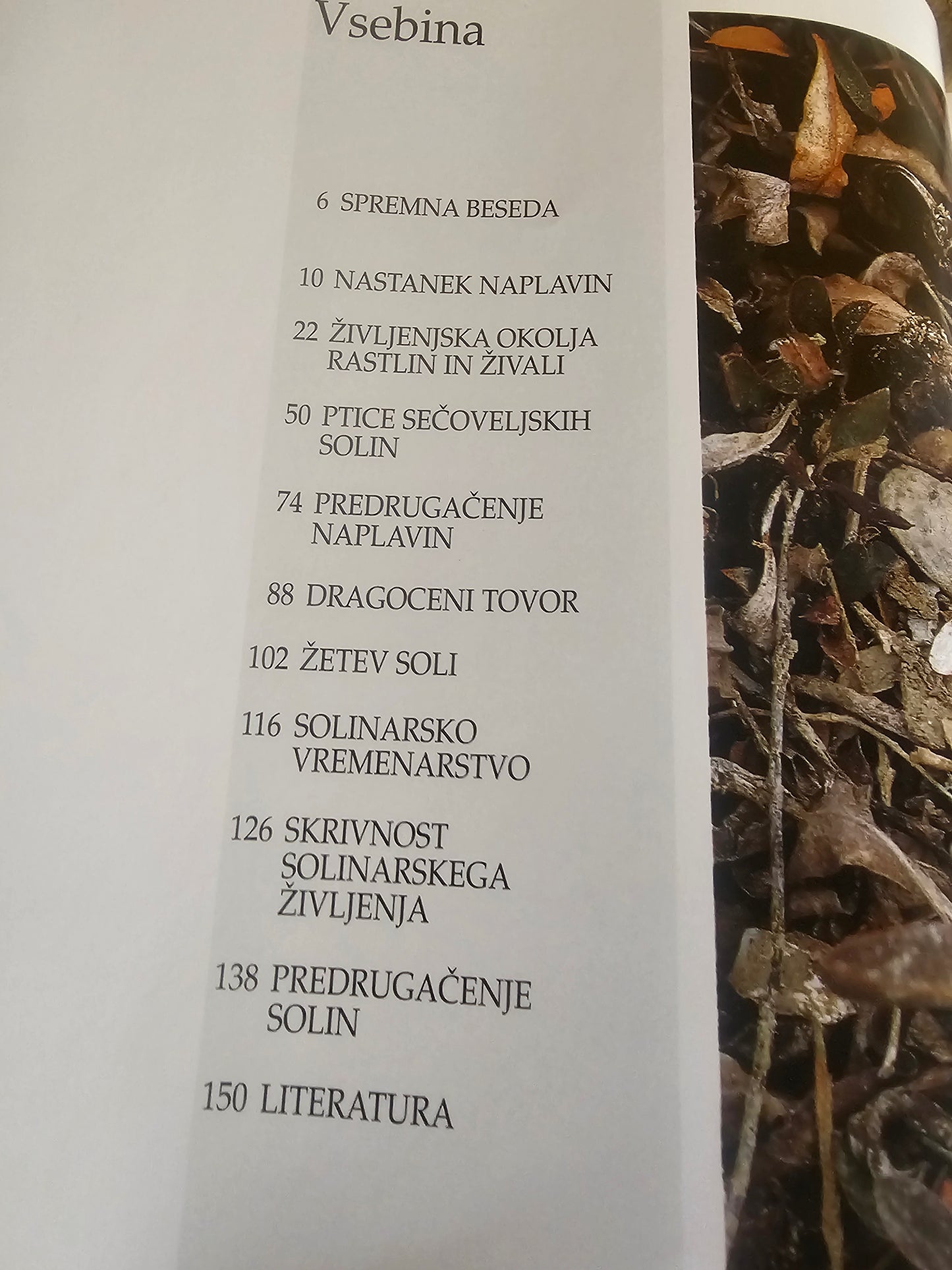 Sečoveljske soline Sečovlje Saltpans Iztok Geister