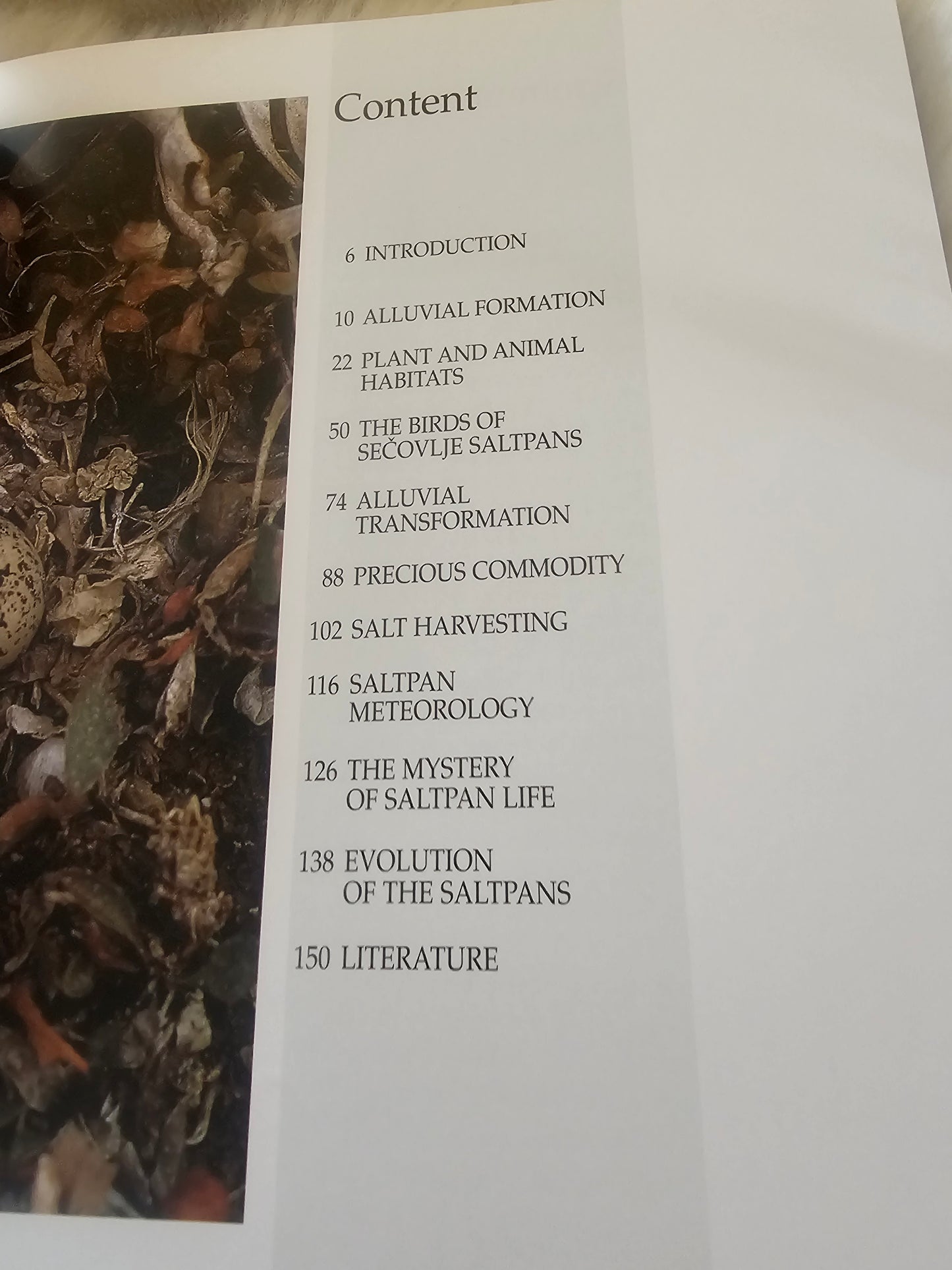 Sečoveljske soline Sečovlje Saltpans Iztok Geister