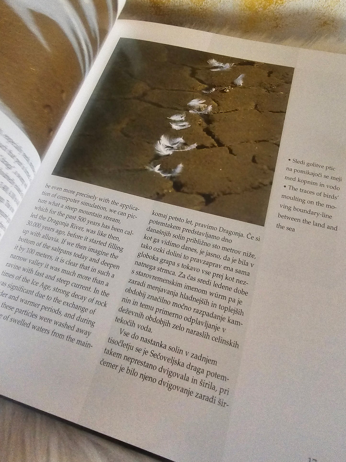 Sečoveljske soline Sečovlje Saltpans Iztok Geister