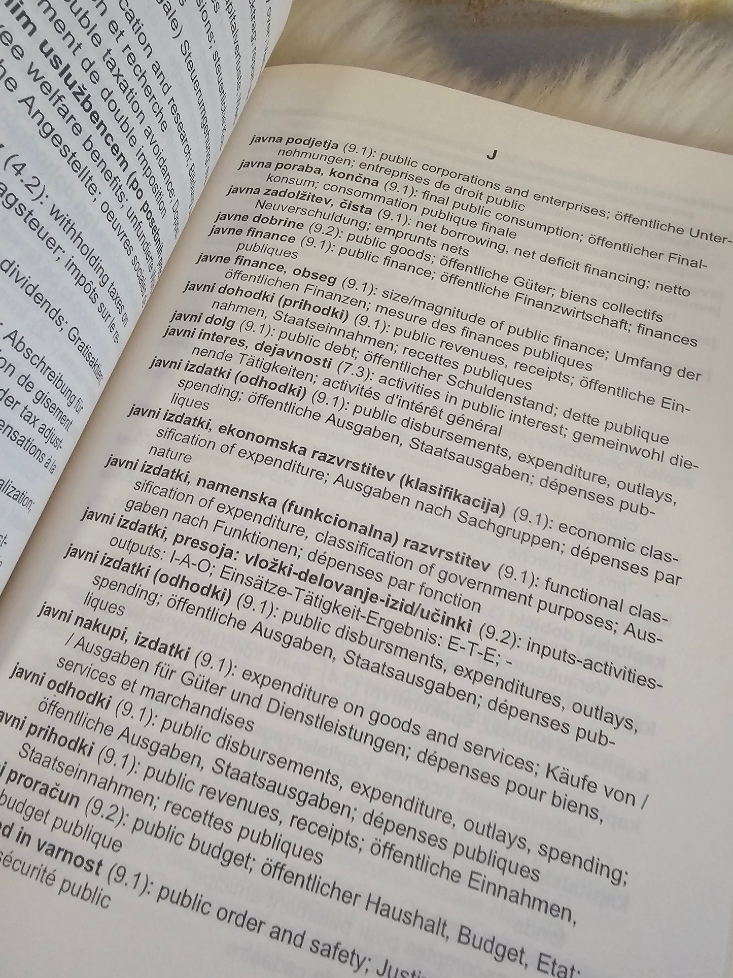 Javnofinančni pojmovnik dr. Lado Rupnik