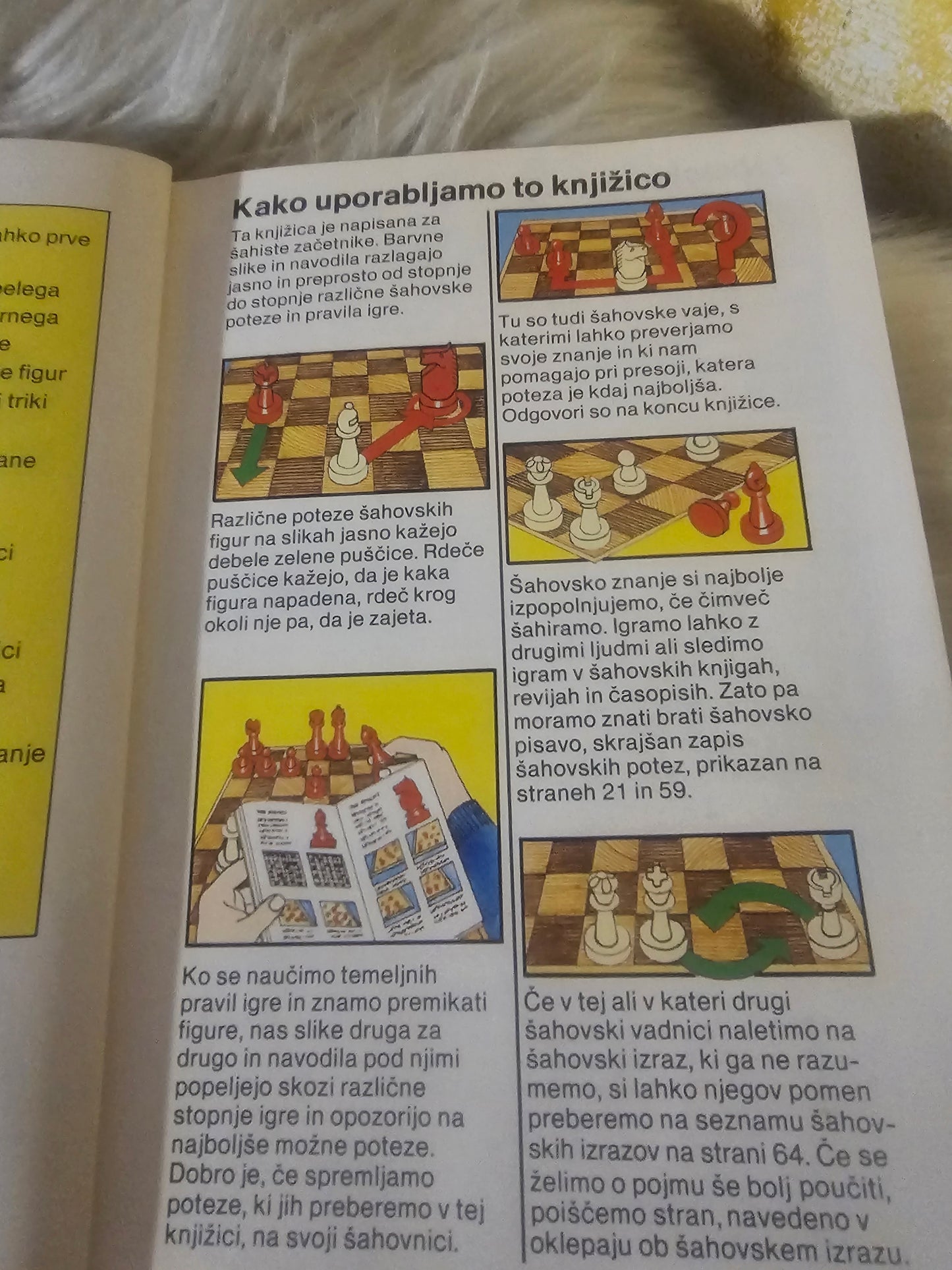 Igrajmo šah Cankarjeva založba