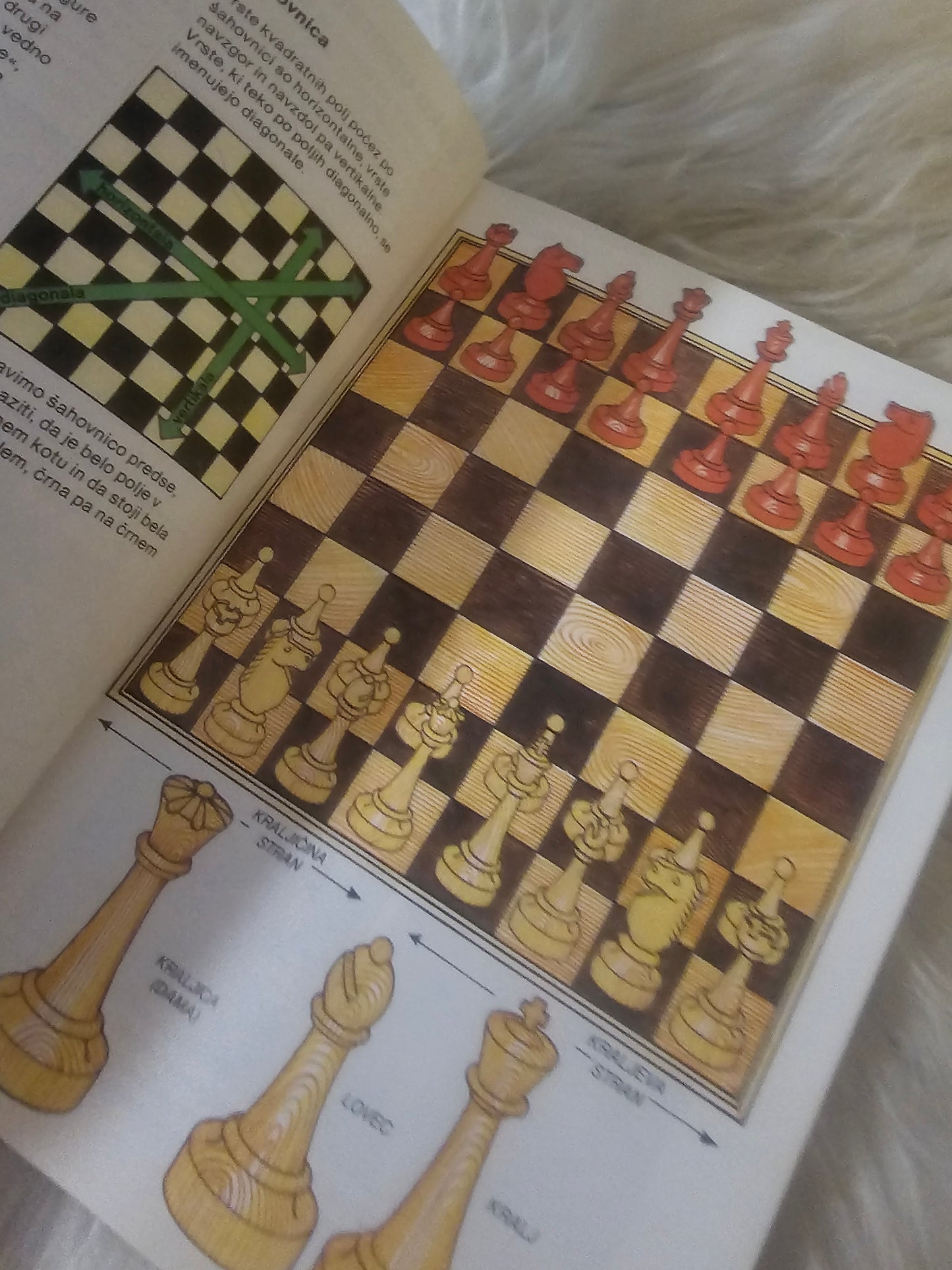 Igrajmo šah Cankarjeva založba