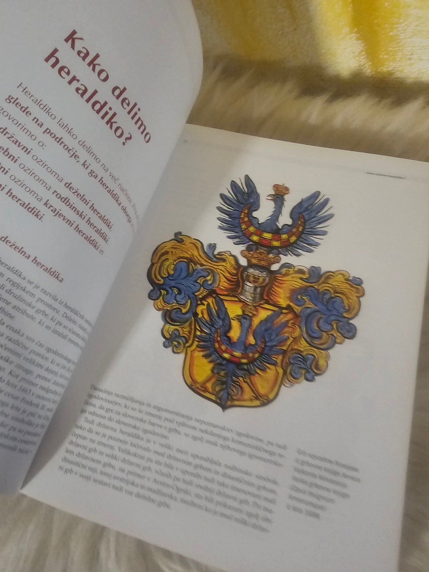 Slovenska grb in zastava Zmago Jelinčič Plemeniti