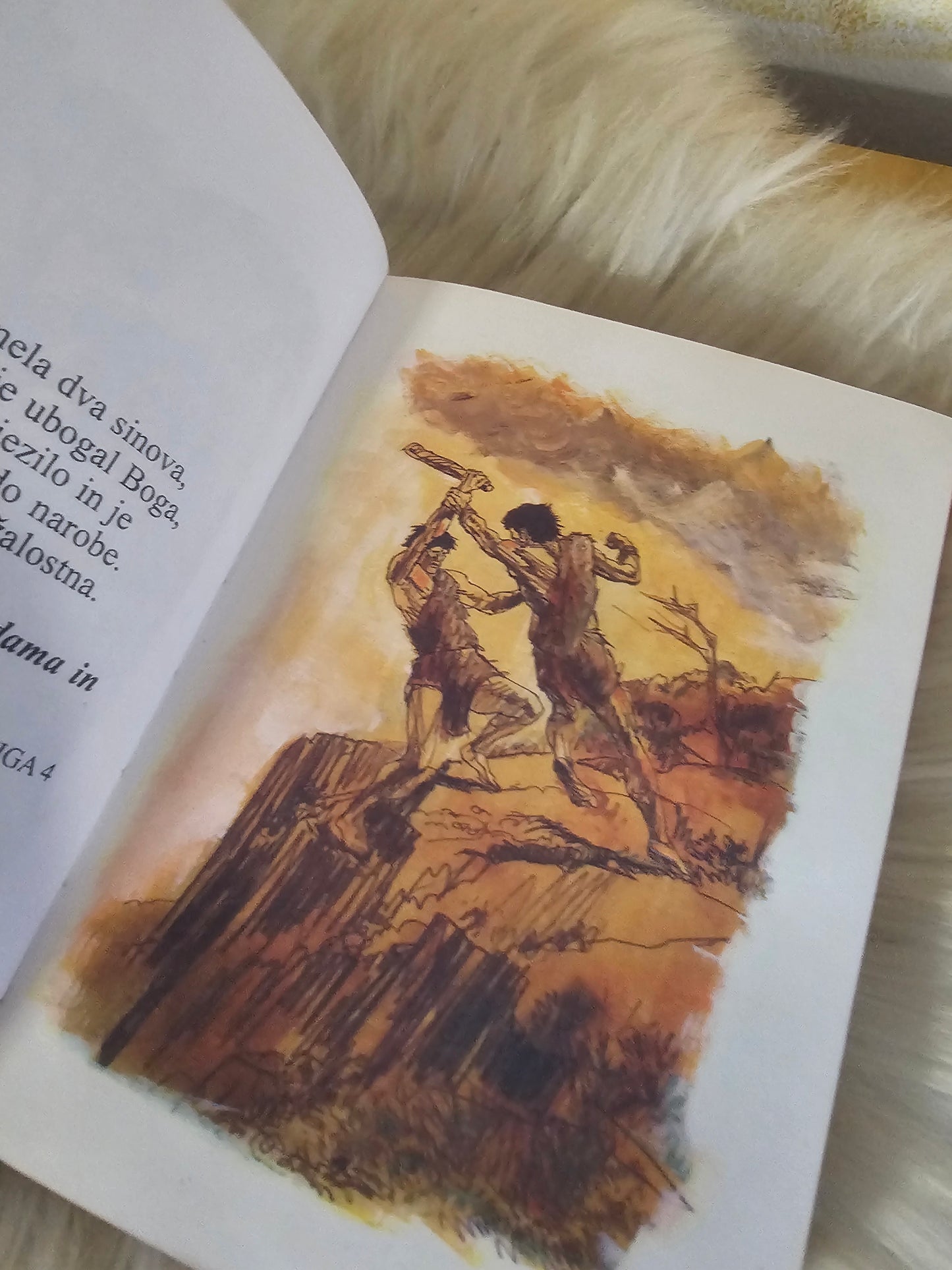 Moje prvo Sveto pismo  s slikami Kenneth N. Taylor