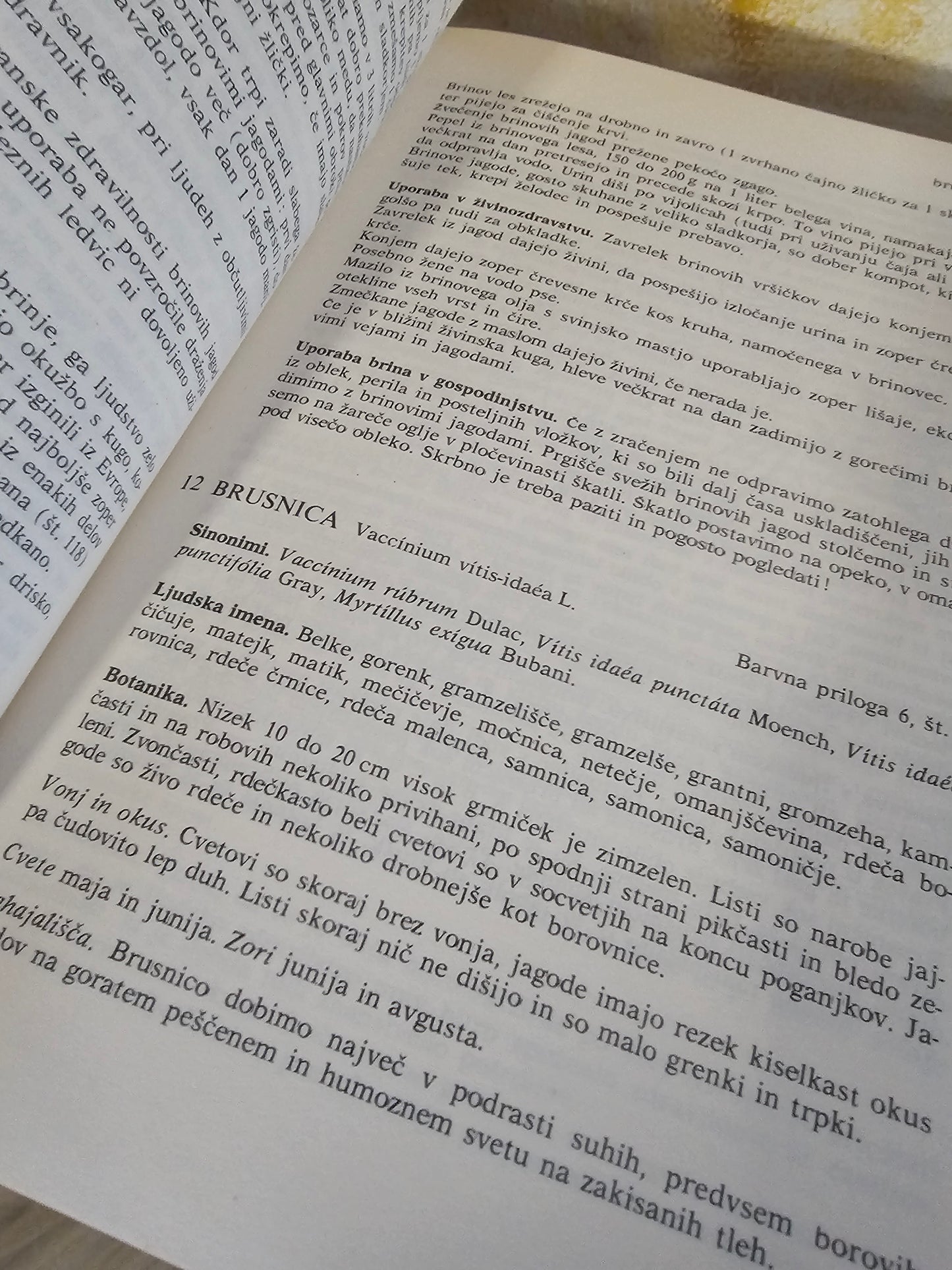 Zdrvilne rastline in njih uporaba Richard Willfort