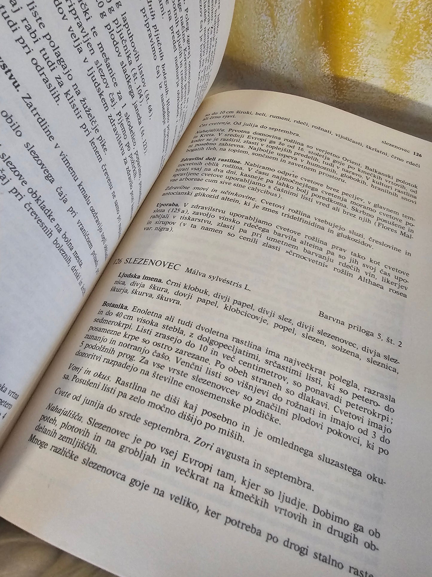 Zdrvilne rastline in njih uporaba Richard Willfort