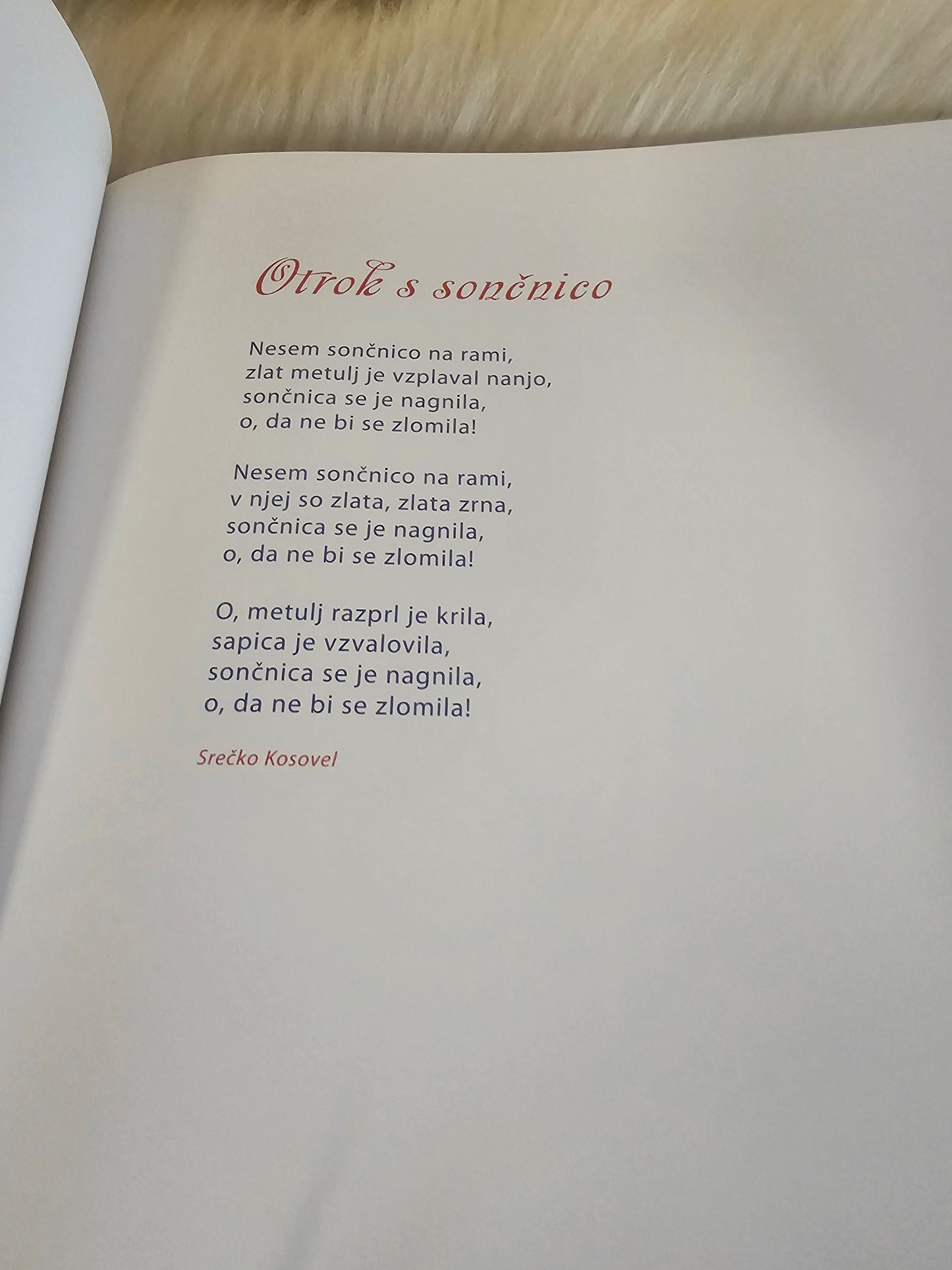 Najdihojca in Ciciban Celjska Mohorjeva družba