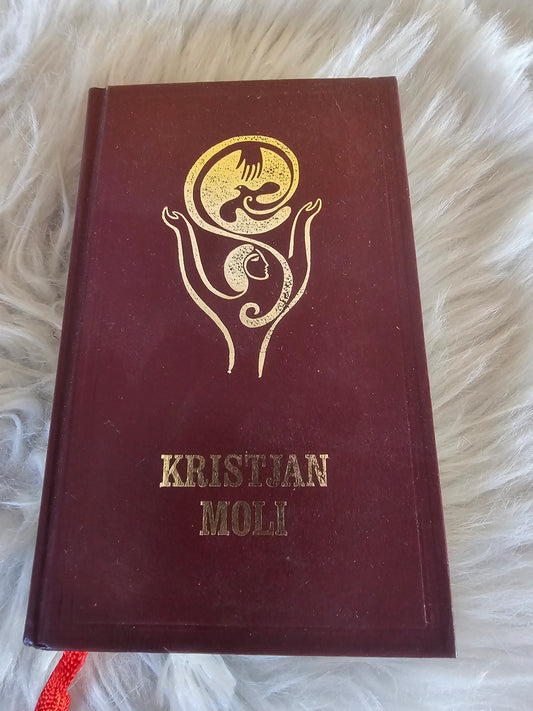 Kristjan moli Nadškofijski ordinariat v Ljubljani