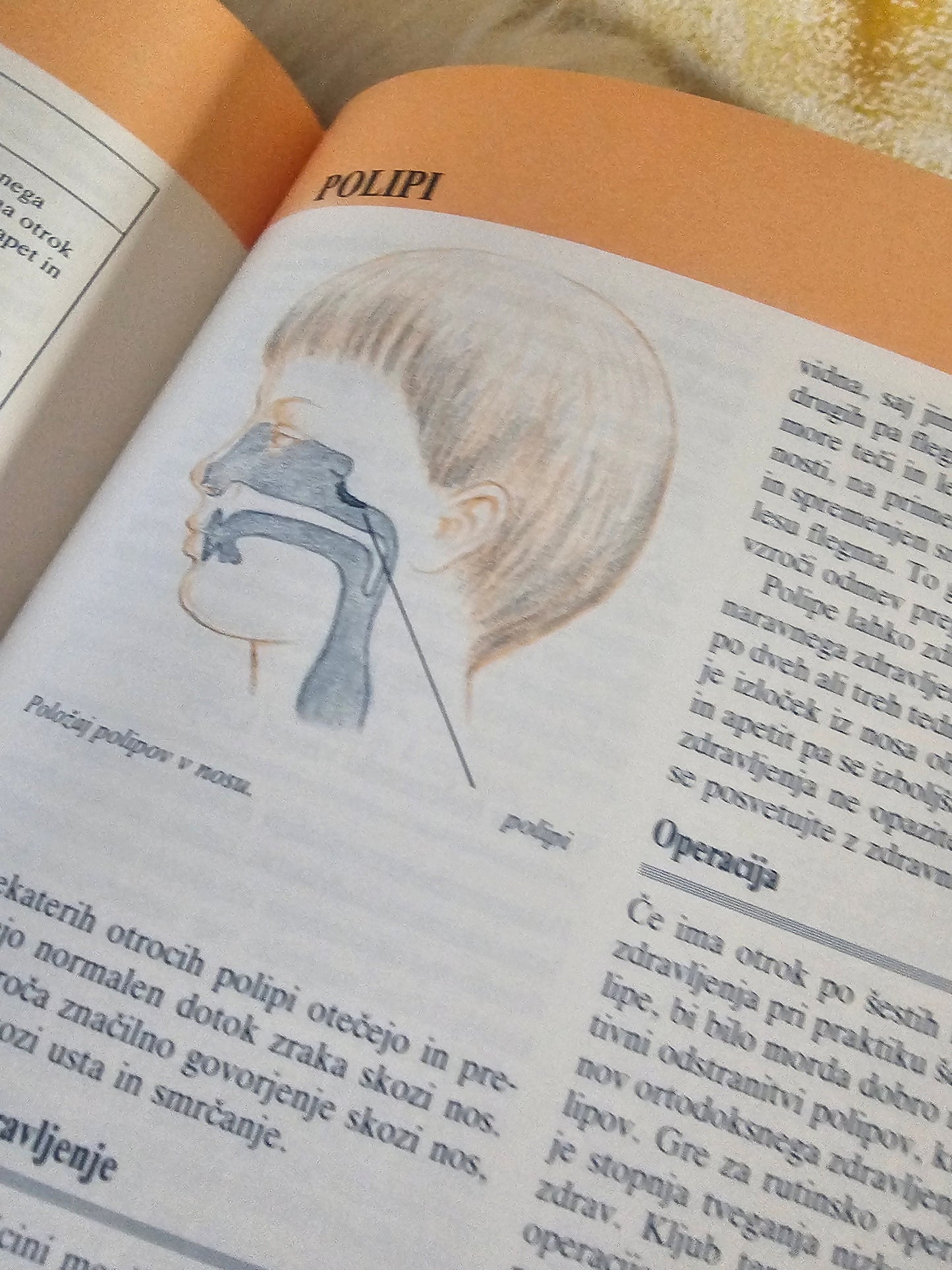 Vodnik naravne medicine za otroke Julian Scott